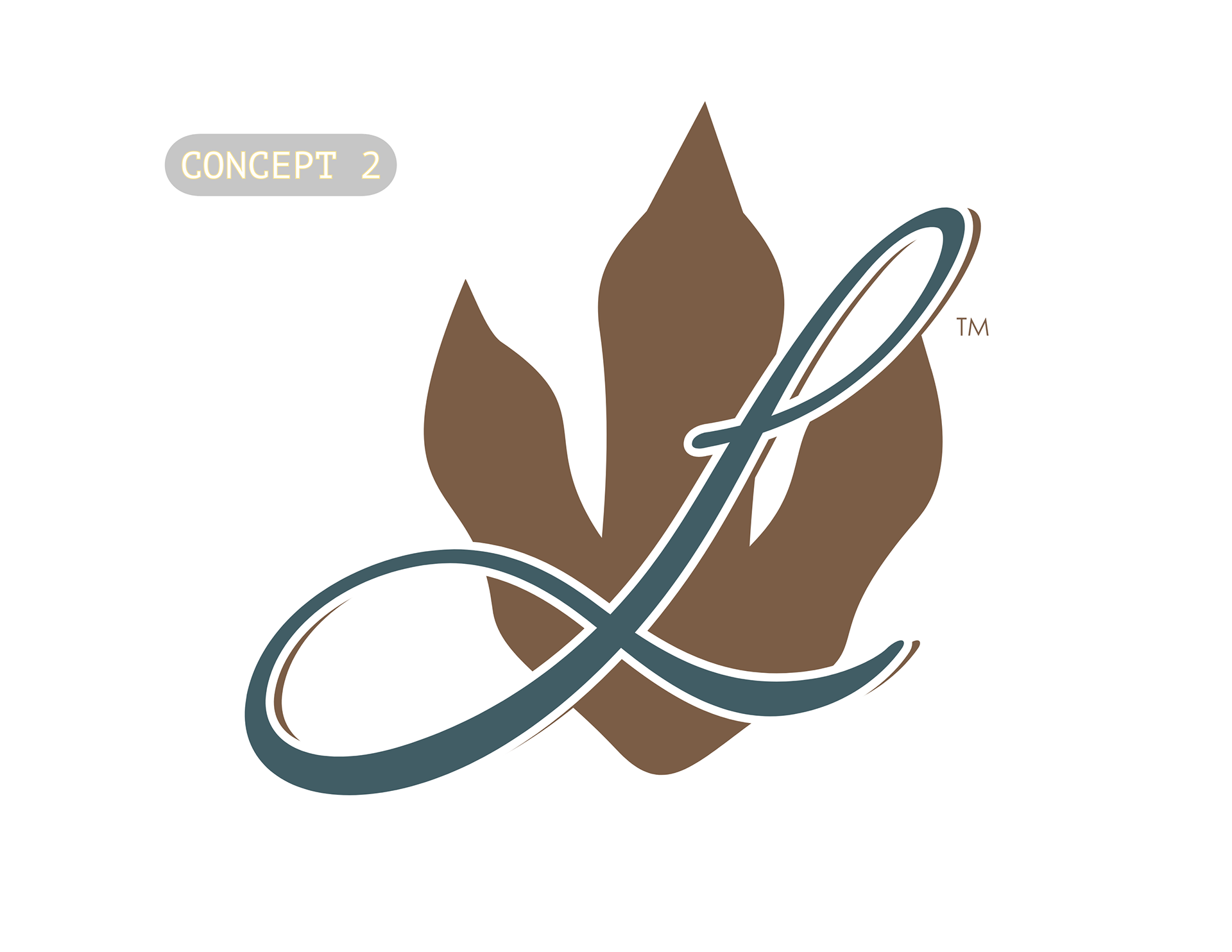 Concept 2_Leander Public Arts & Culture_Not in Use_Example Only