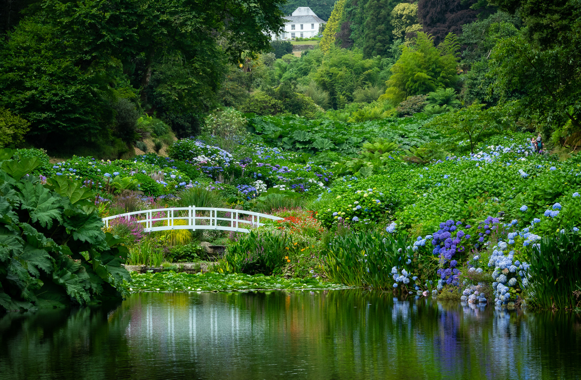 Molly Hollman - Garden landscapes