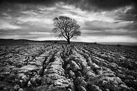 Bronze Award - The Guild of Photographers