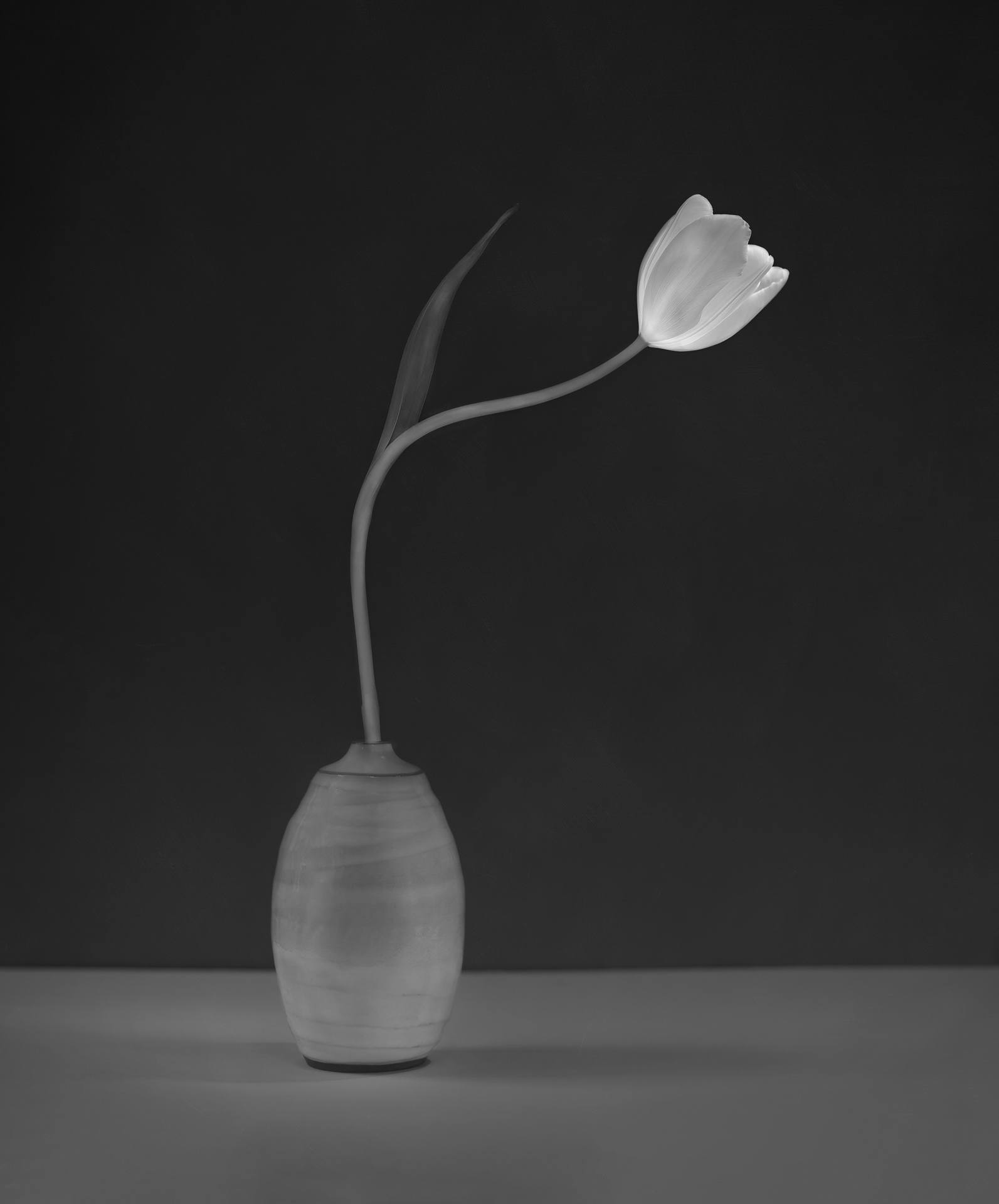Highly Commended - International Garden Photographer of the Year 2021 - Black and White