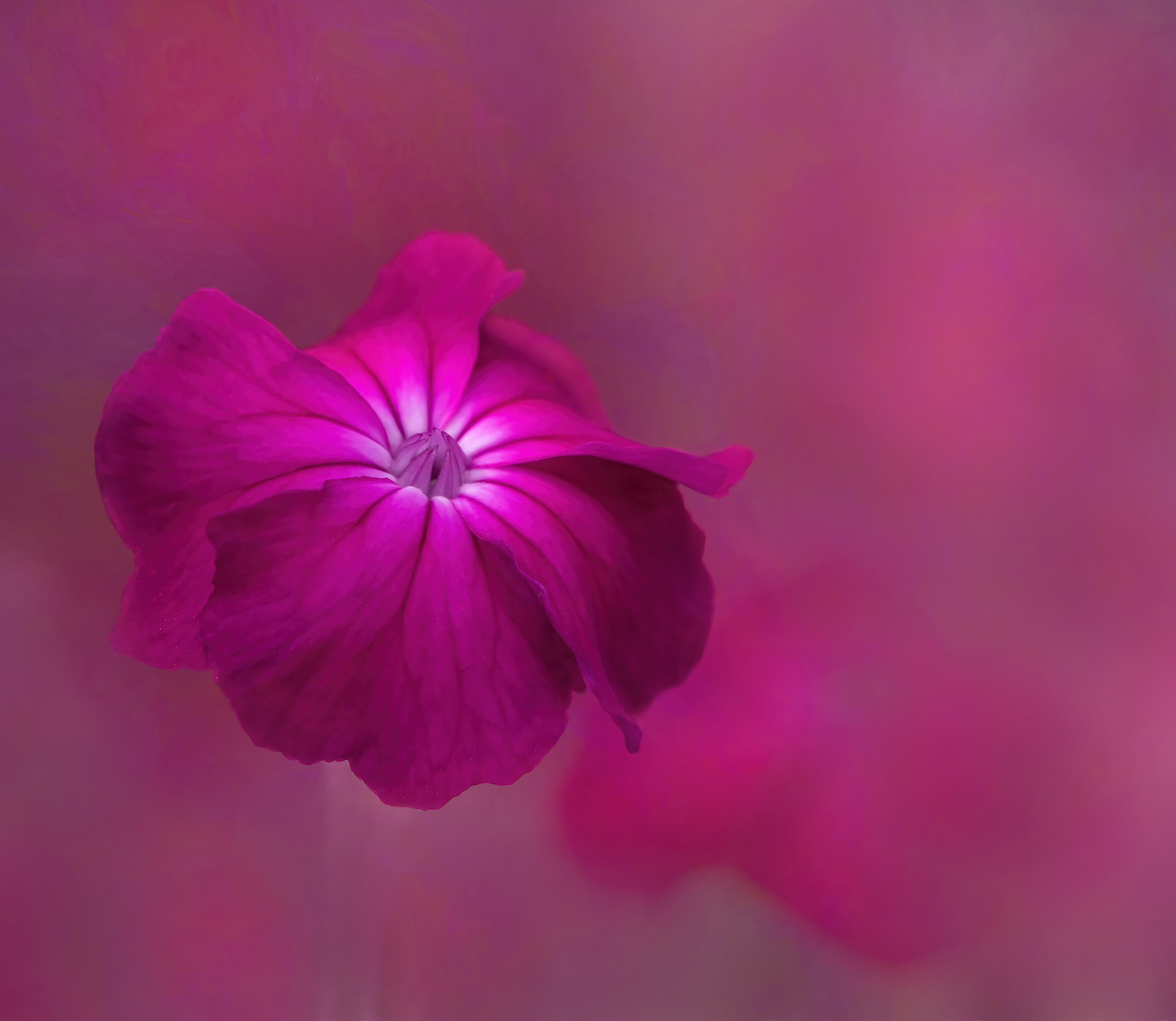 High Bronze Award - The Guild of Photographers