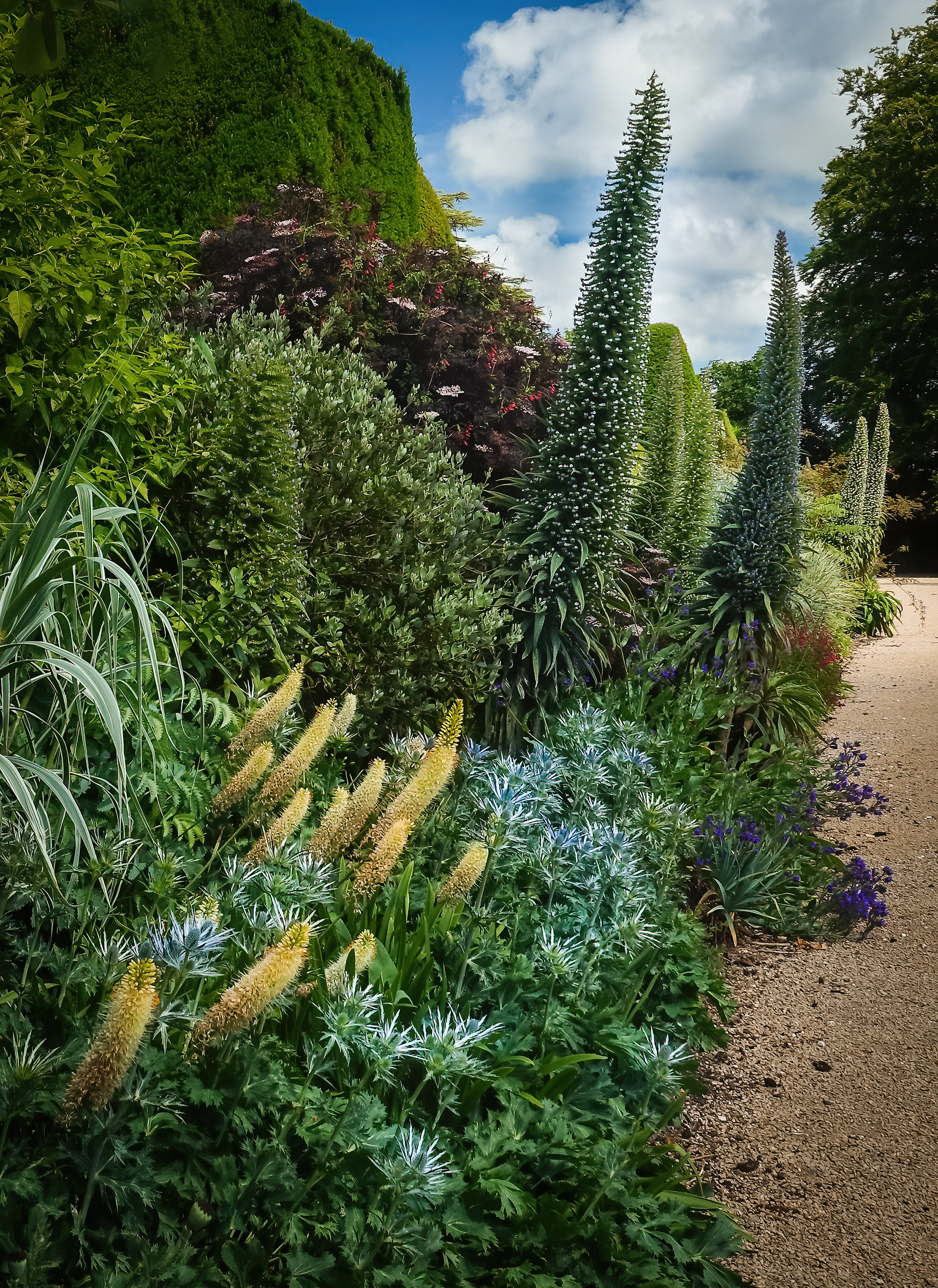 Finalist - Gordon Rae Garden Photographer of the Year 2020
