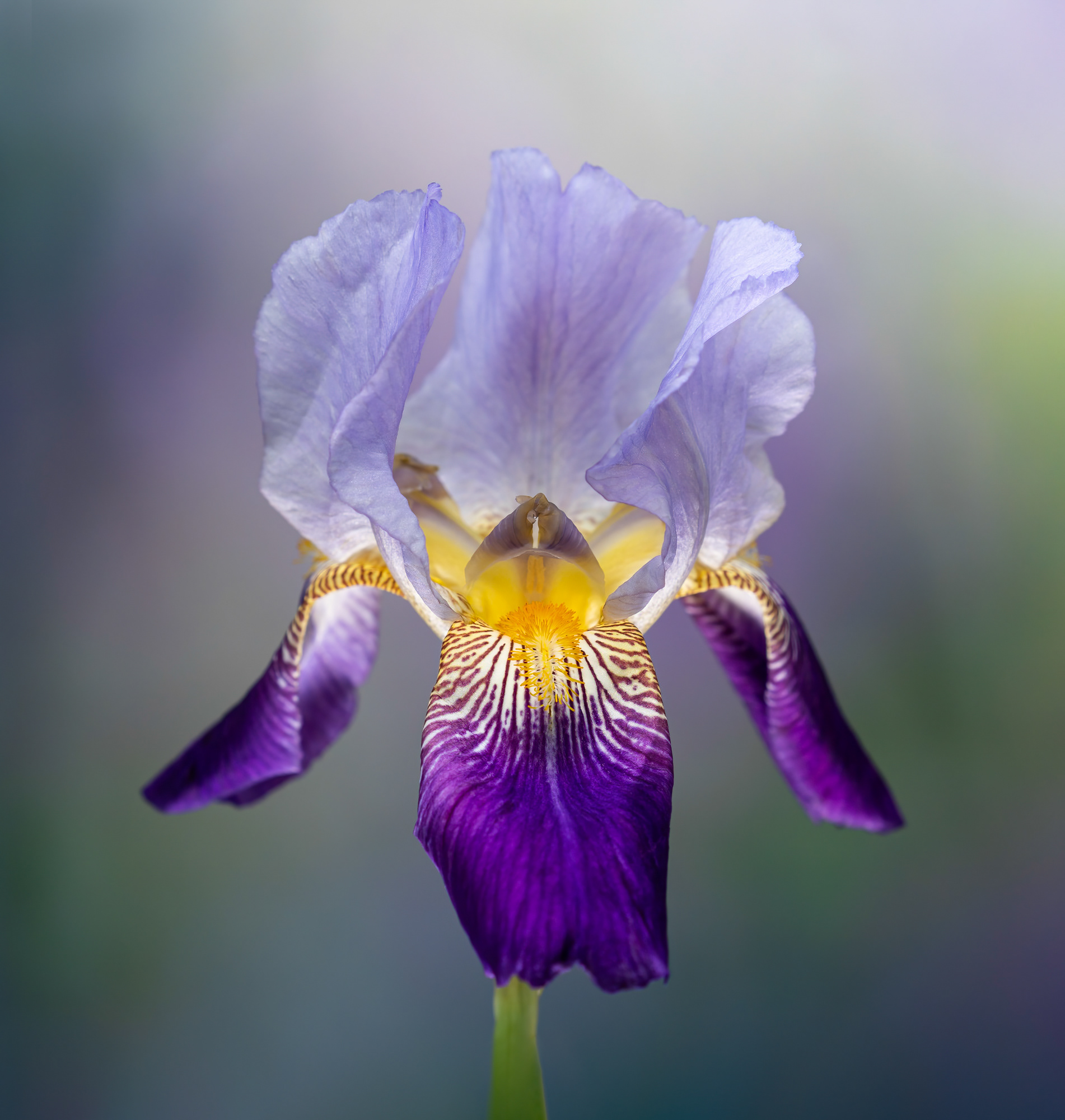 Winning Portfolio in Garden Photographer of the Year