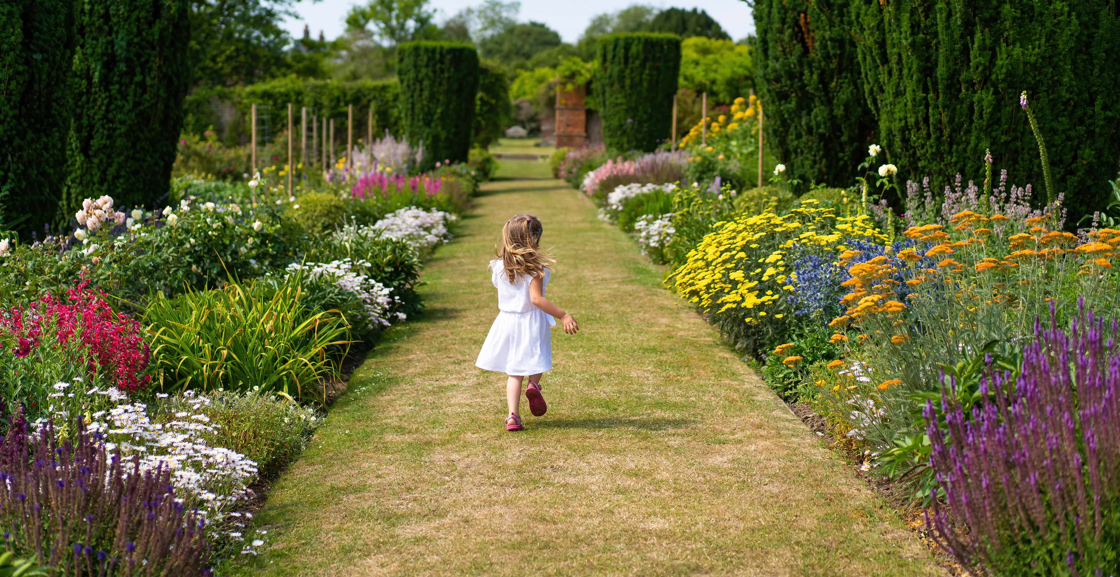 Finalist - Gordon Rae Garden Photographer of the Year 2020