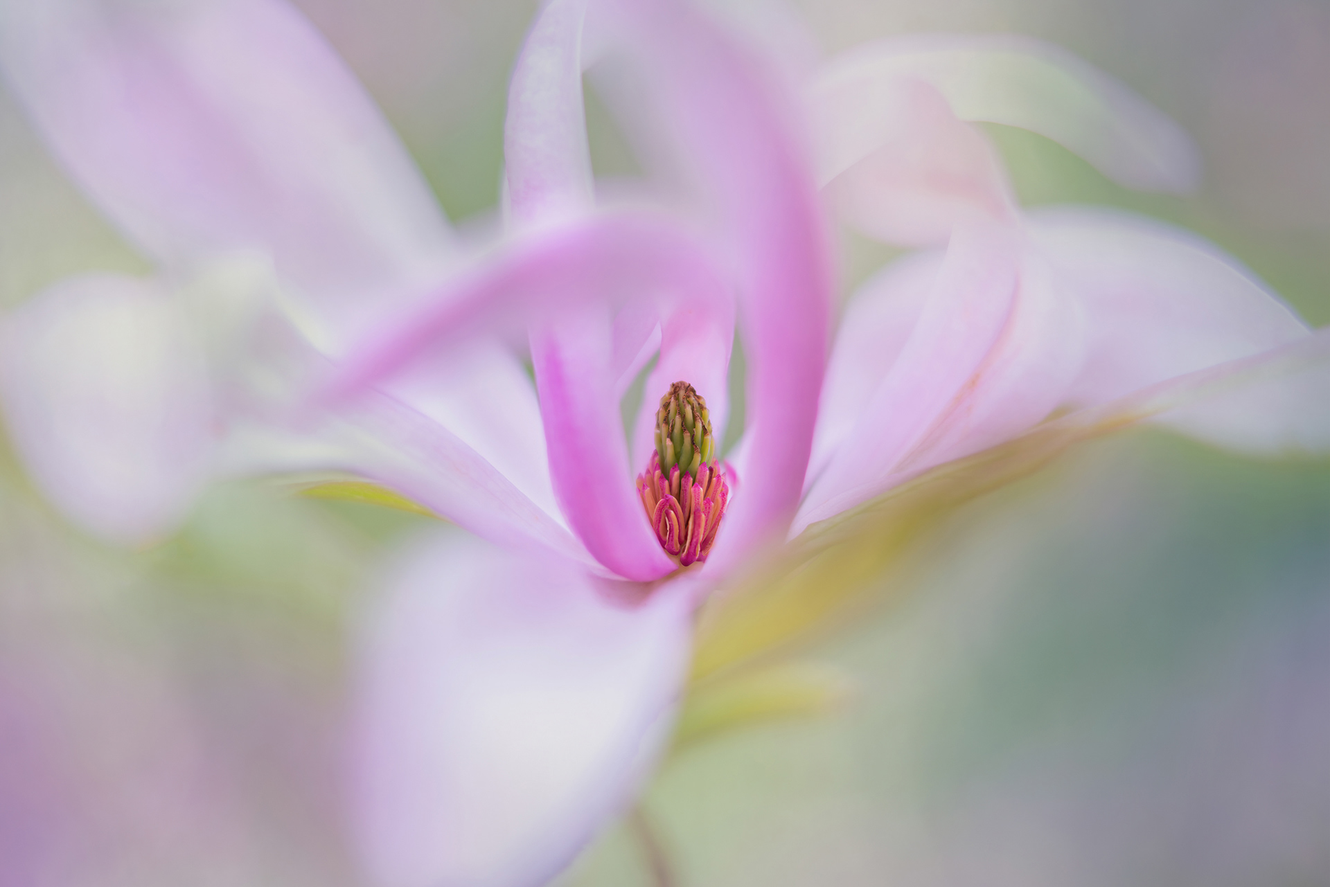 Winning Portfolio in Garden Photographer of the Year