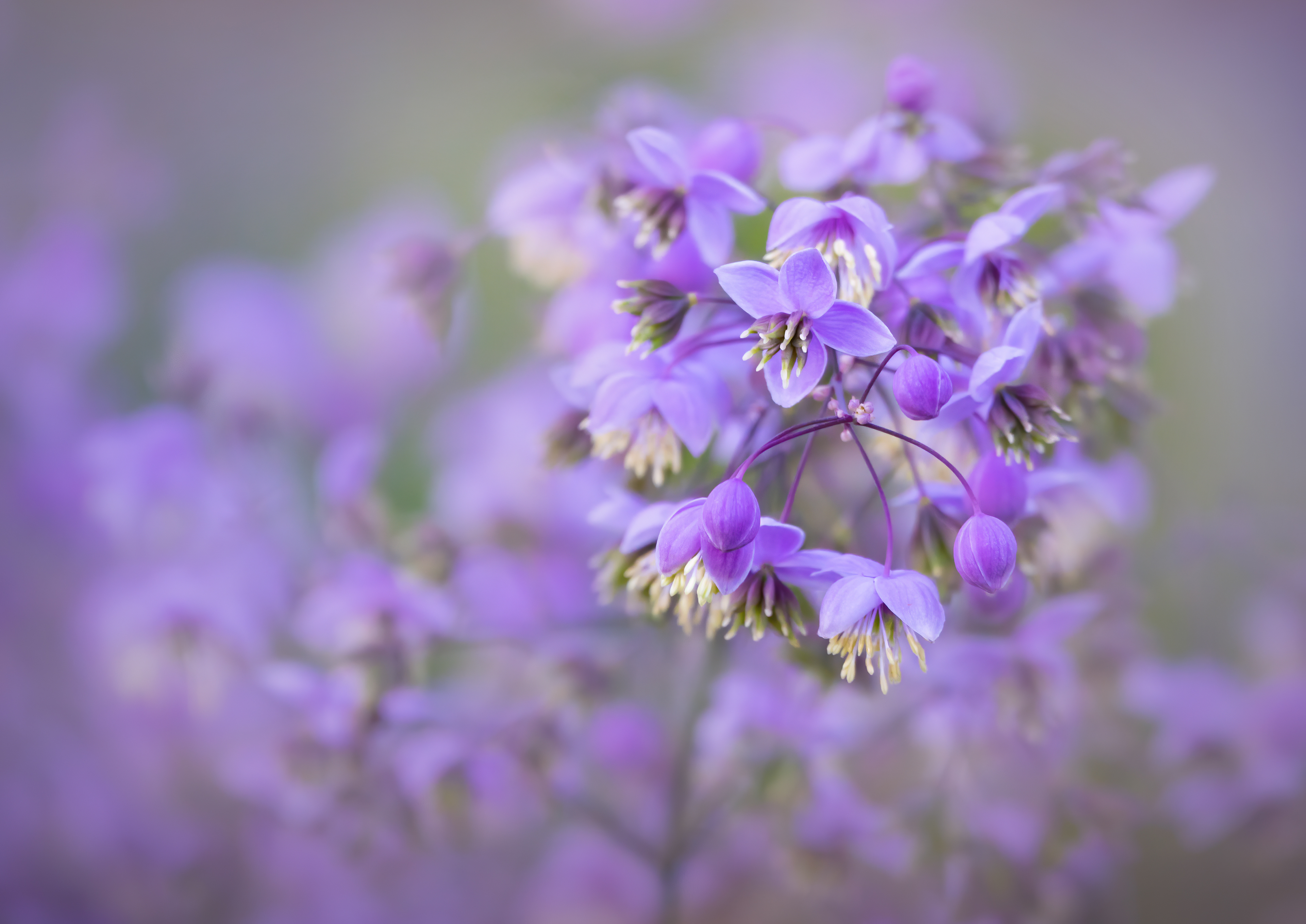 High Bronze Award - The Guild of Photographers