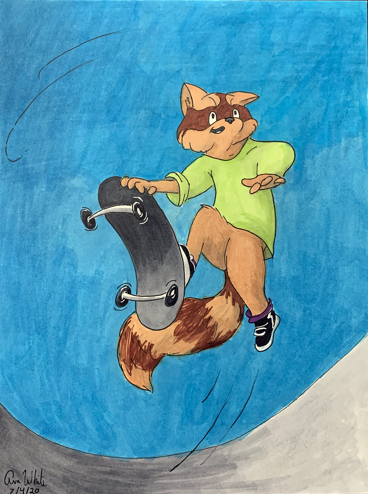 Raccoon #2