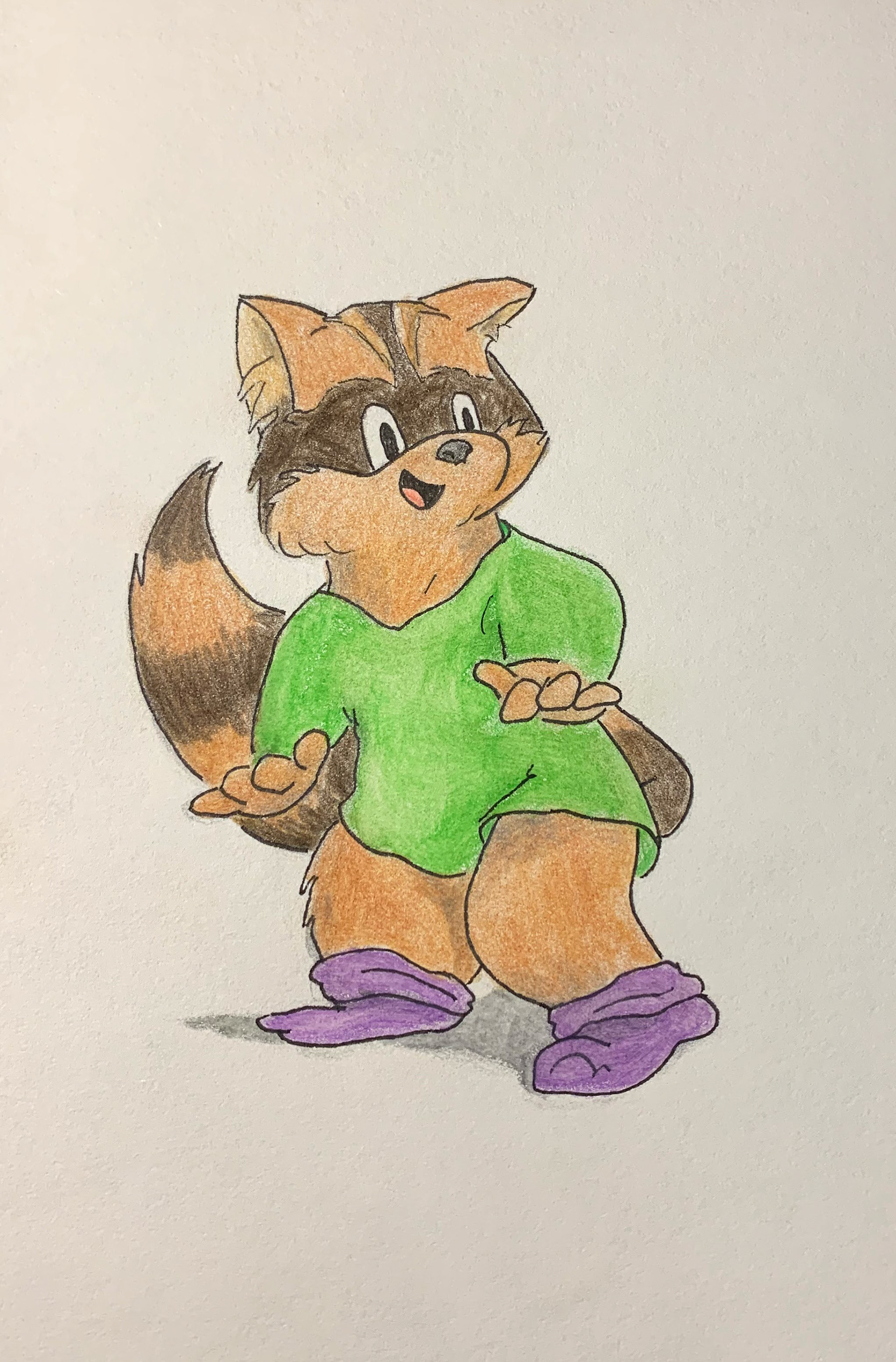 Raccoon #1