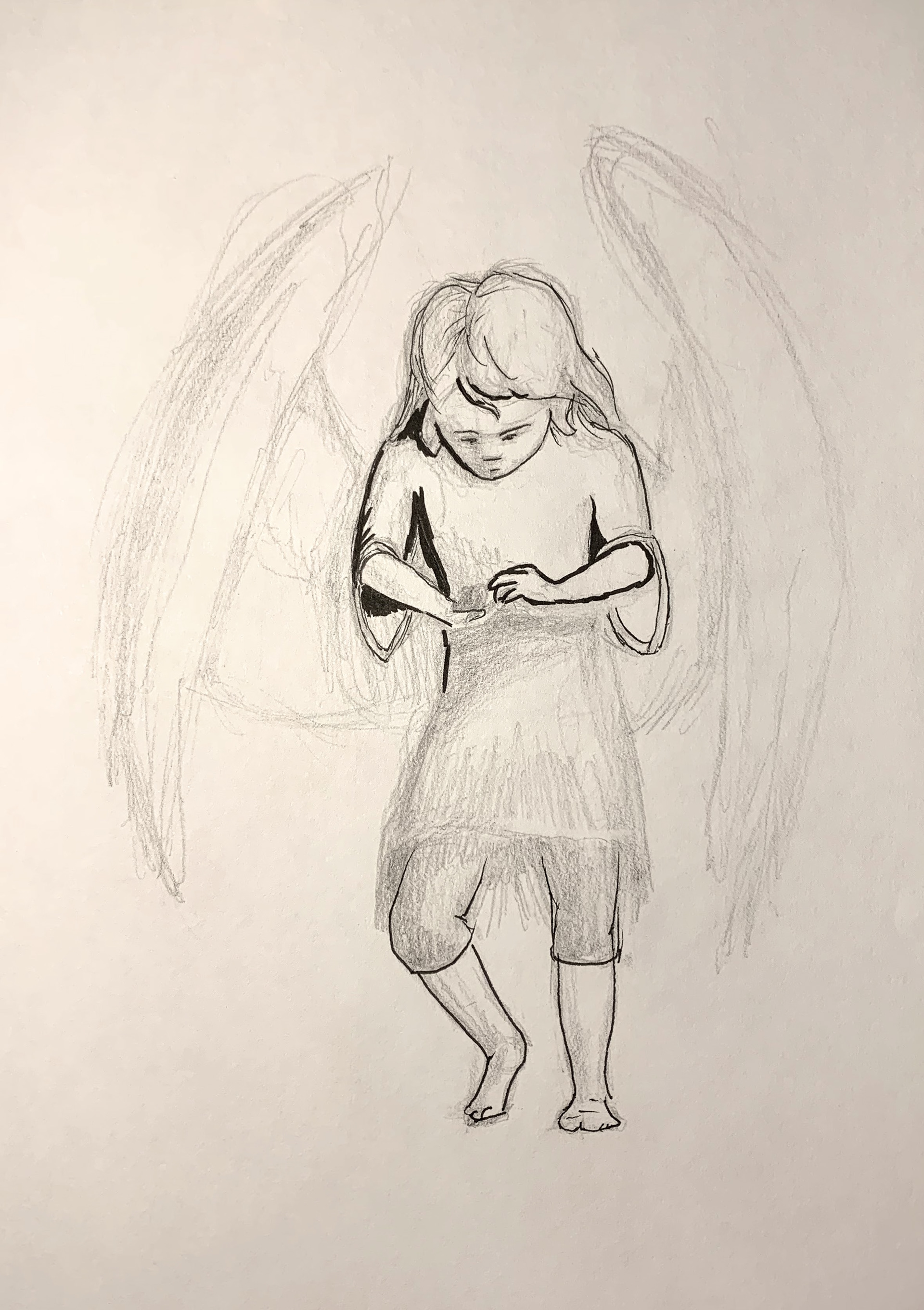 Aquila