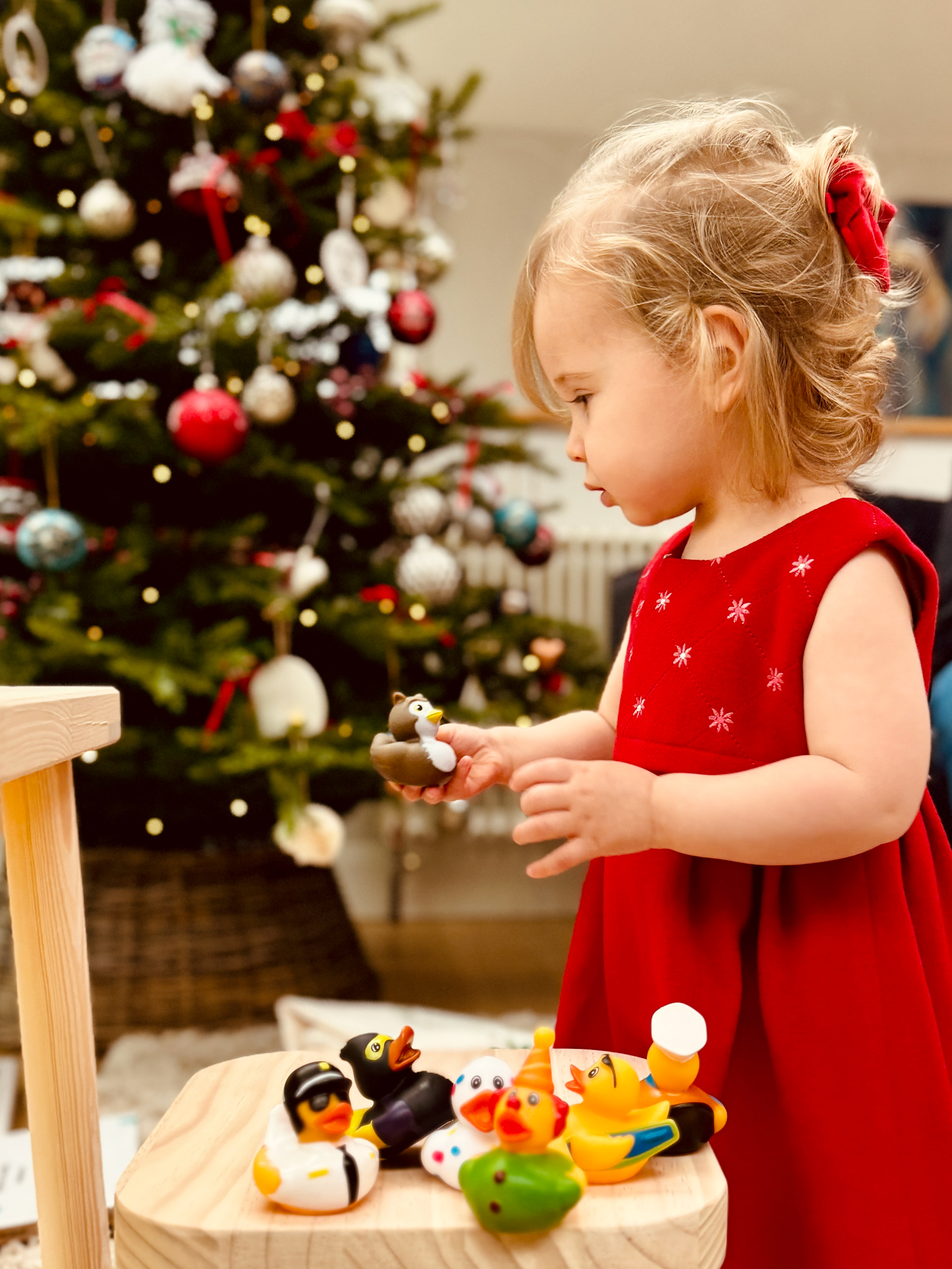 Coral Christmas Day 2023