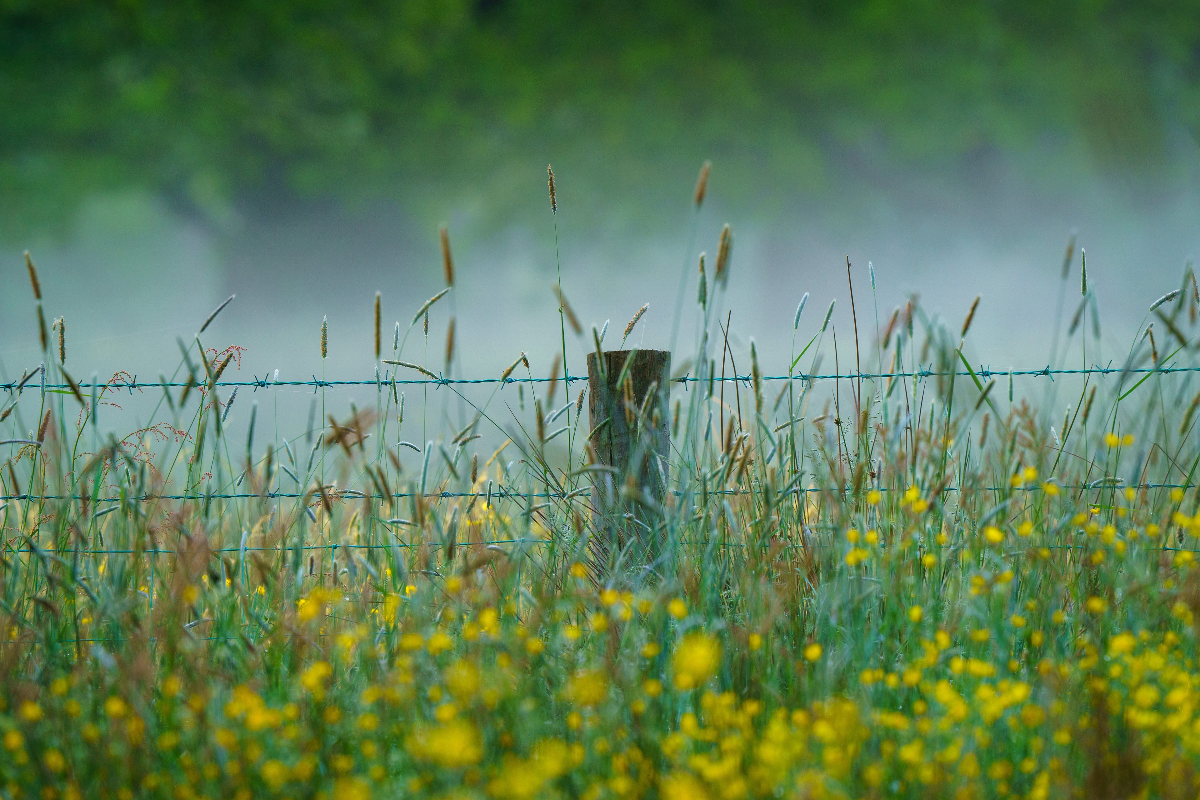 New Fence County Fermanagh June 2021