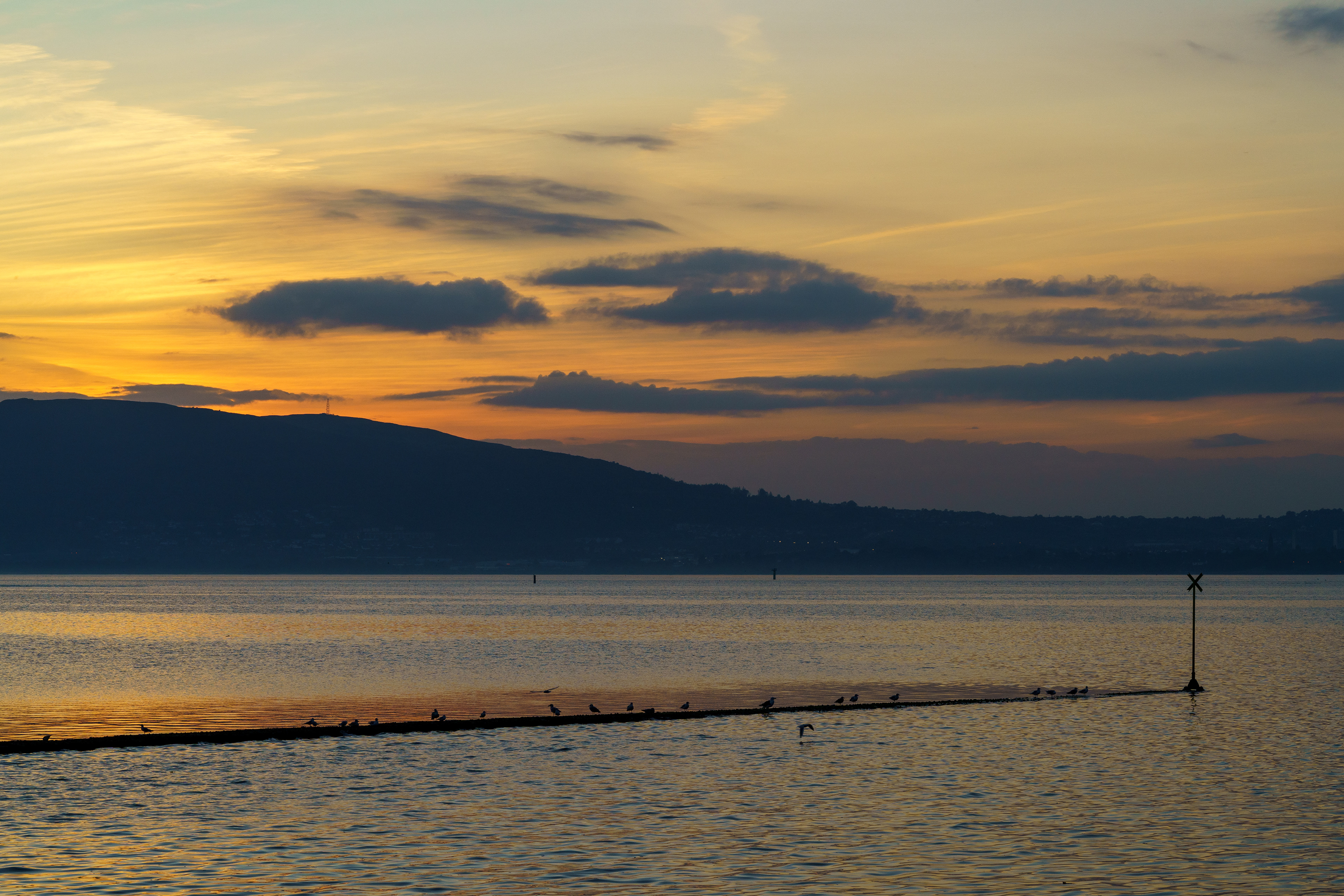 Tranquil September Evening Belfast 2020