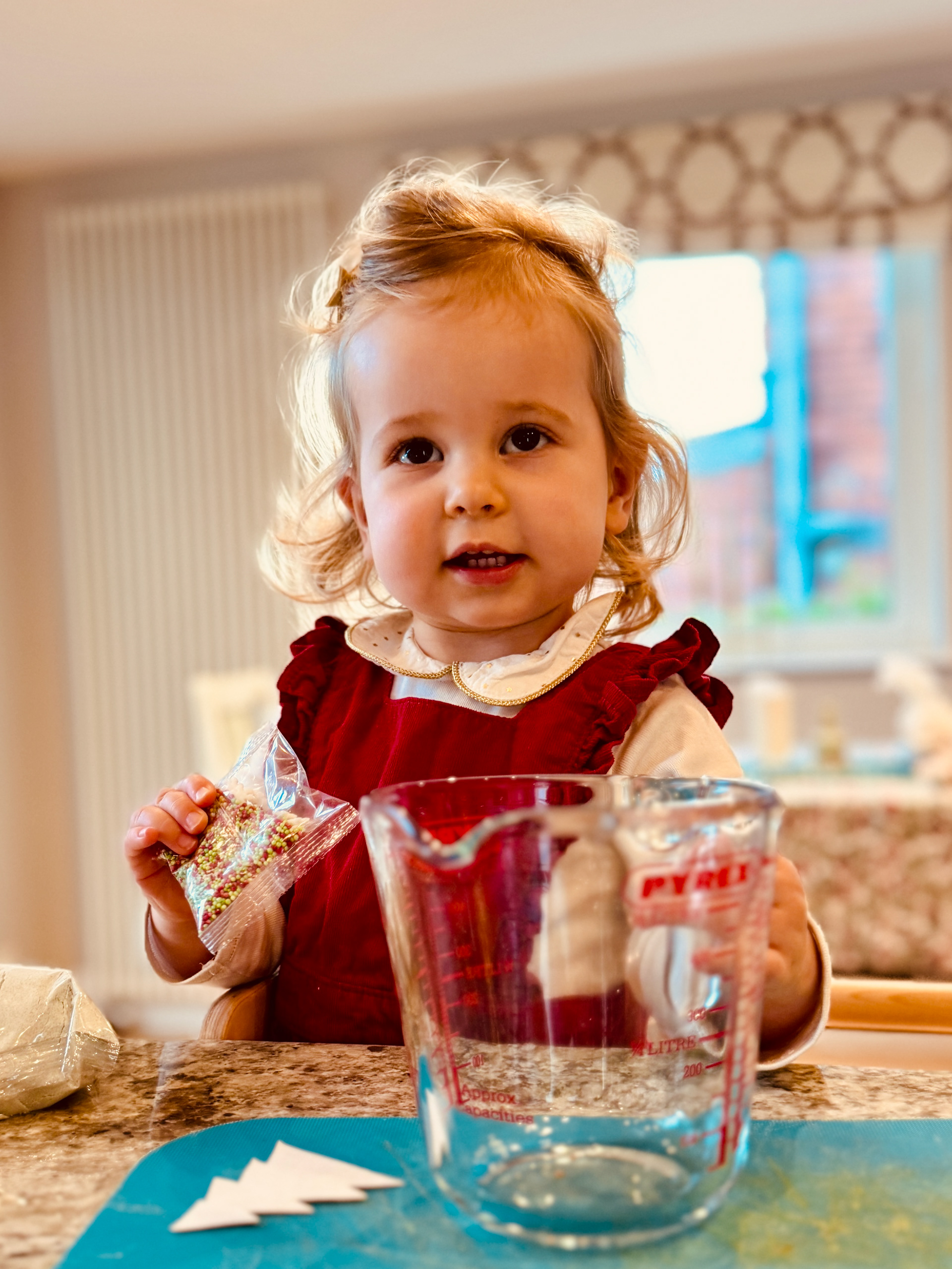 Coral Cookie Making December 2023