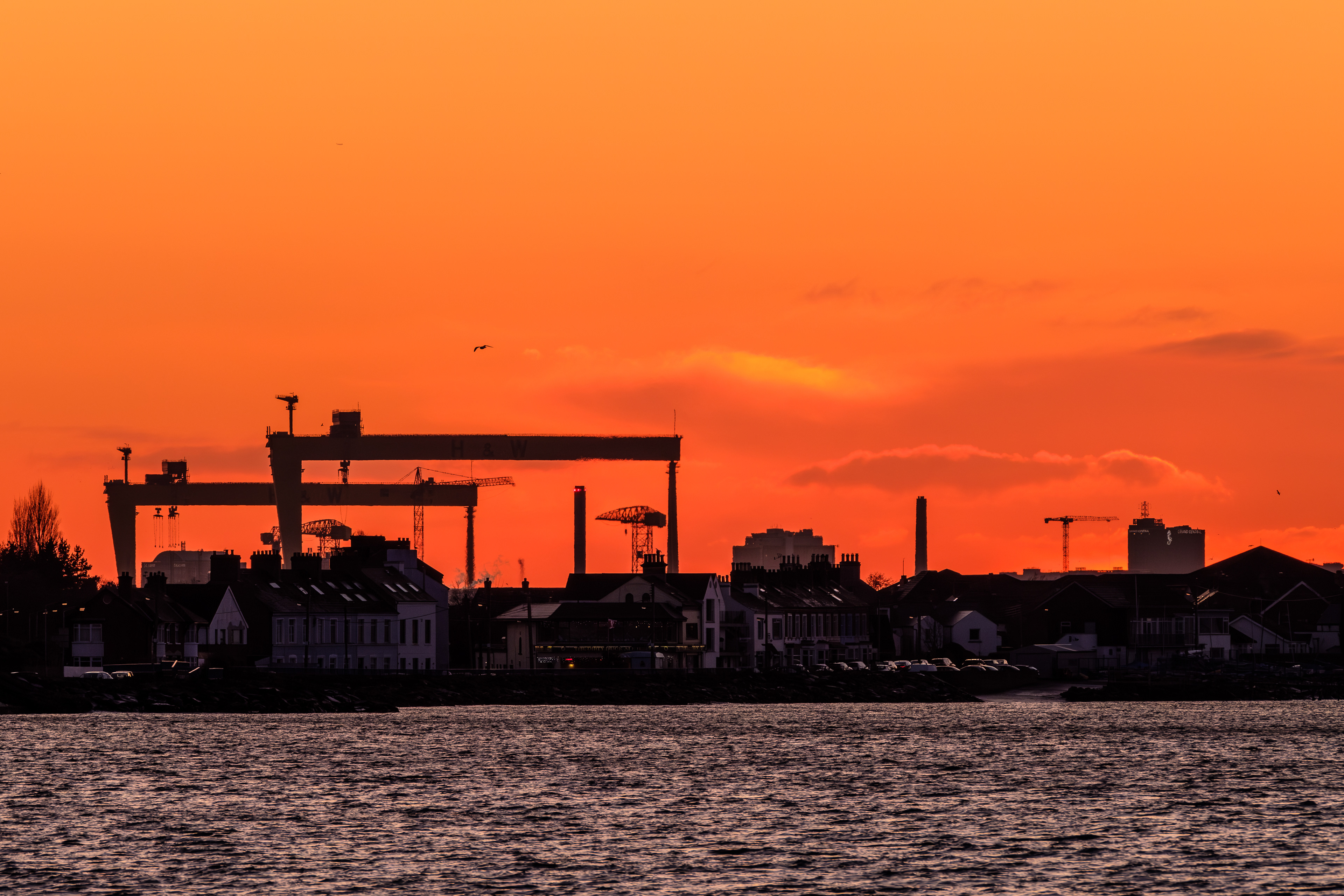 Samson & Goliath from Belfast Lough 2019