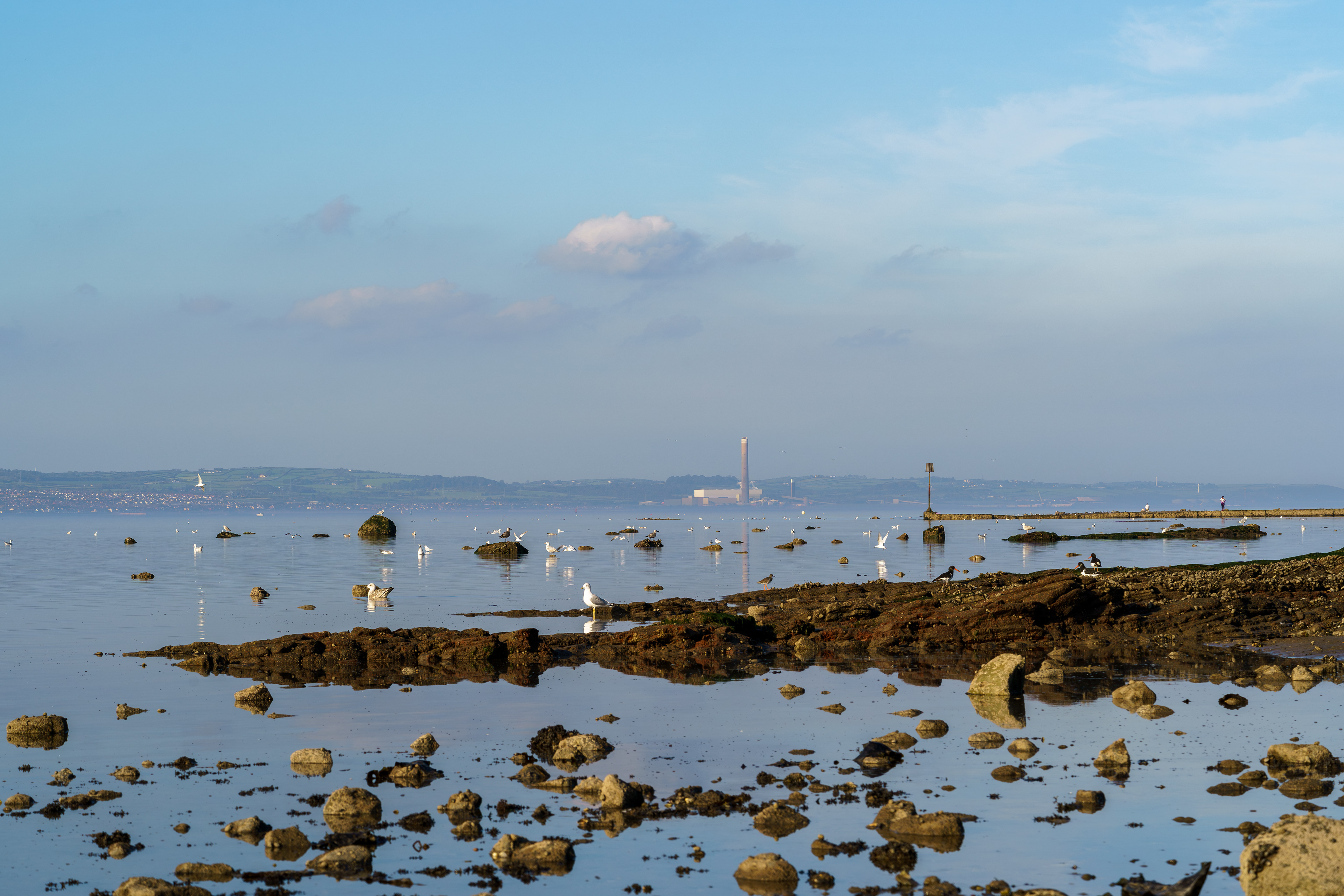 Belfast Lough Morning 2020