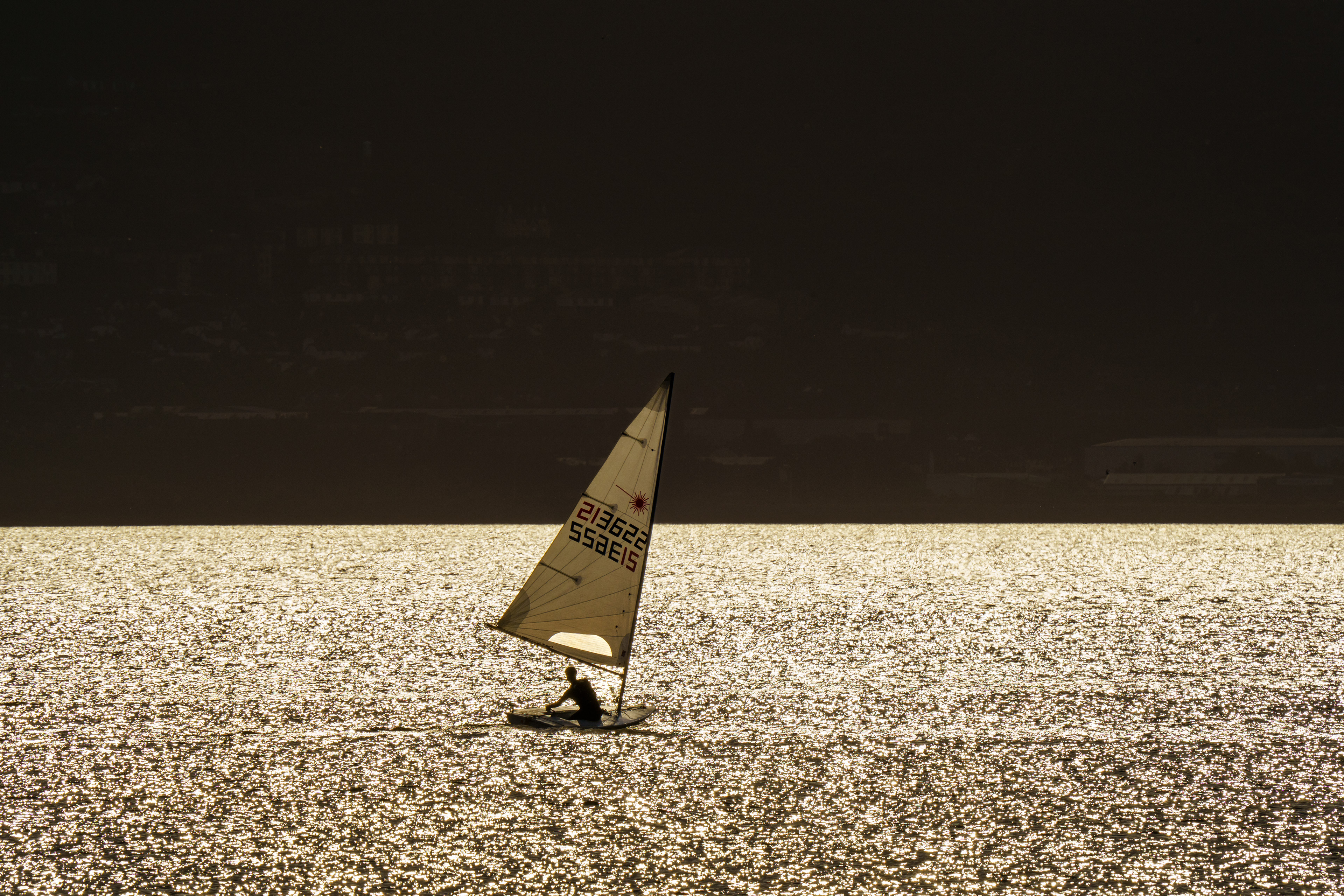 Laser Sailor Belfast Lough 2021