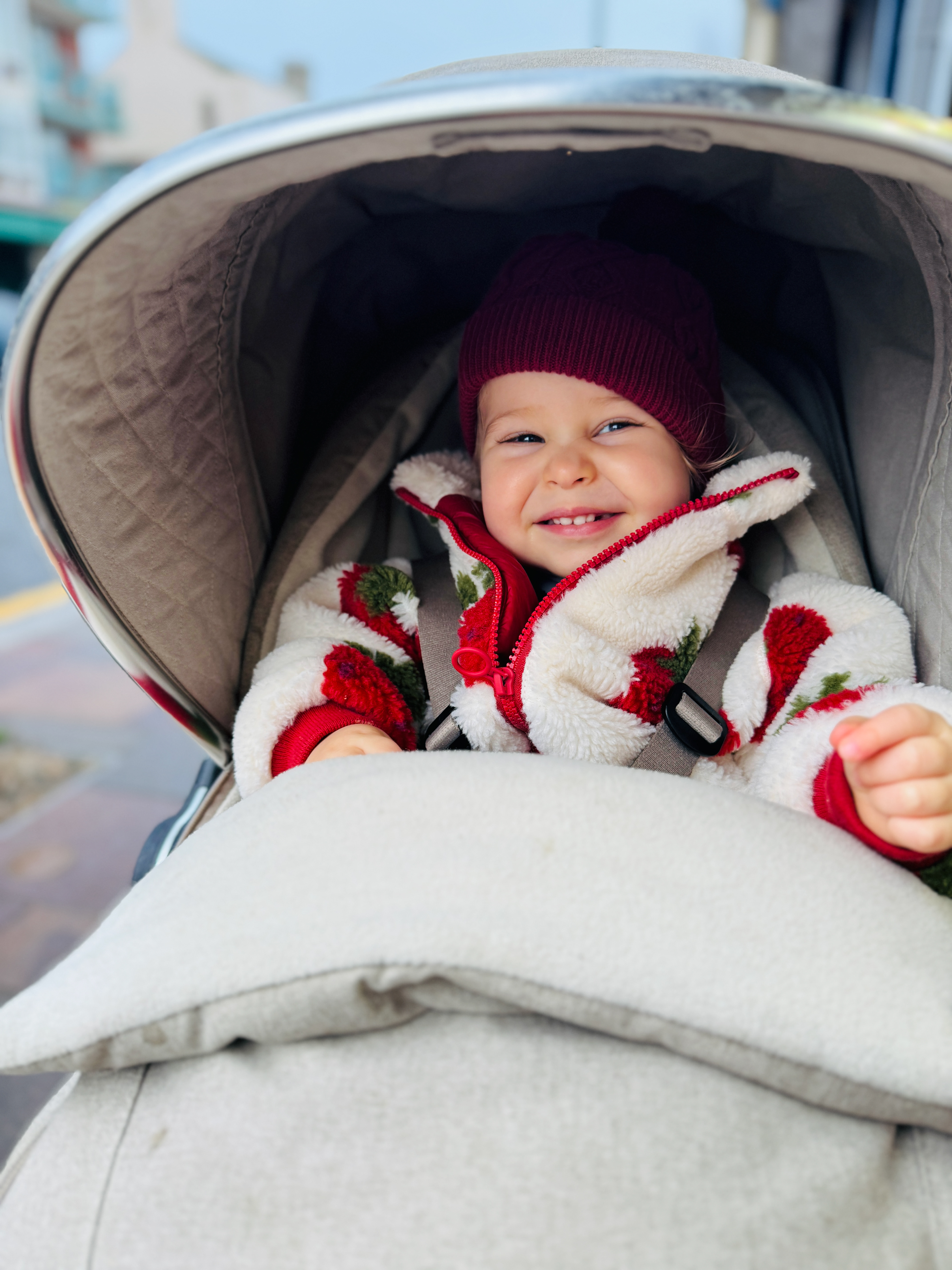 Coral Holywood December 2023