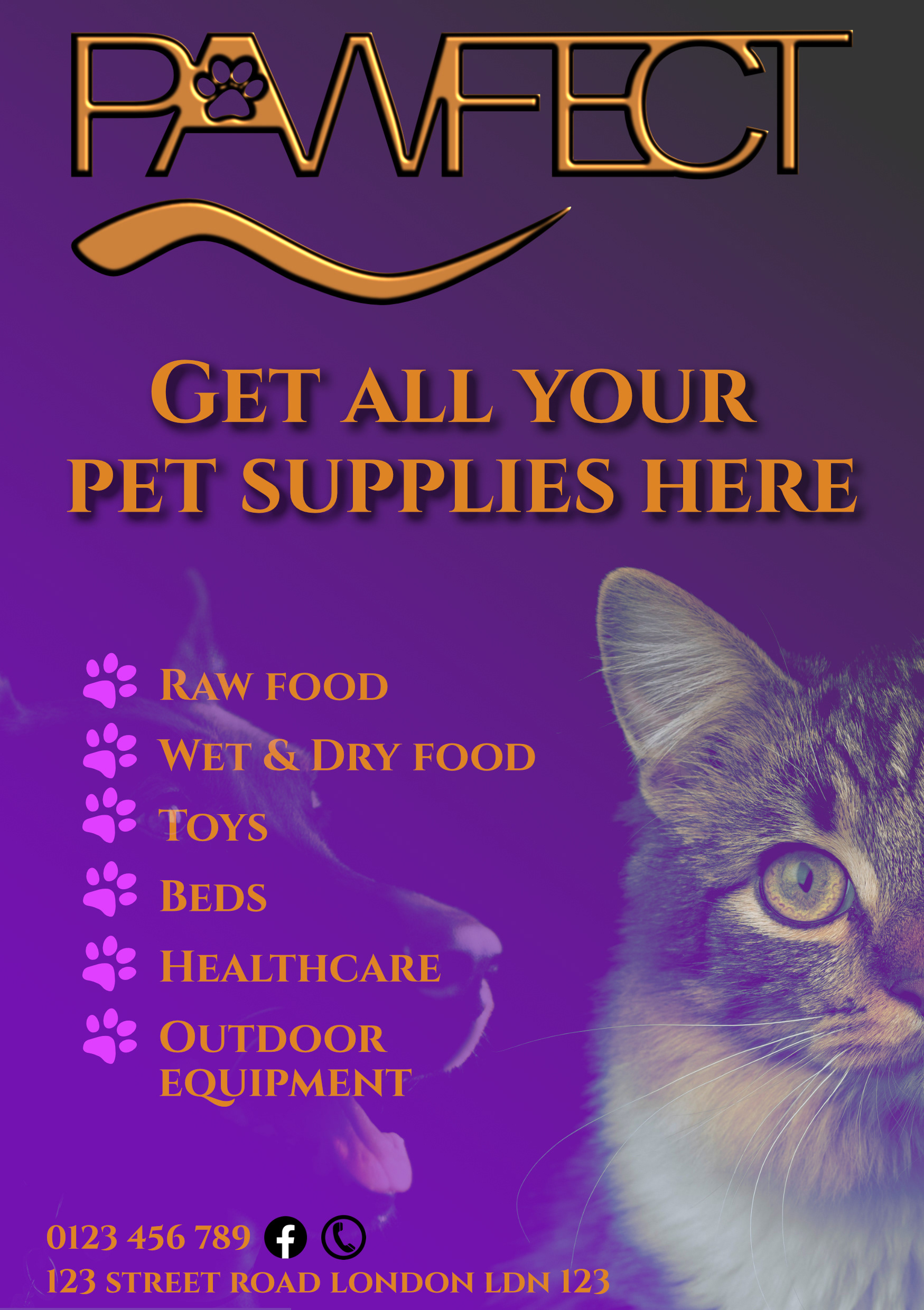 Prefect Flyer Design