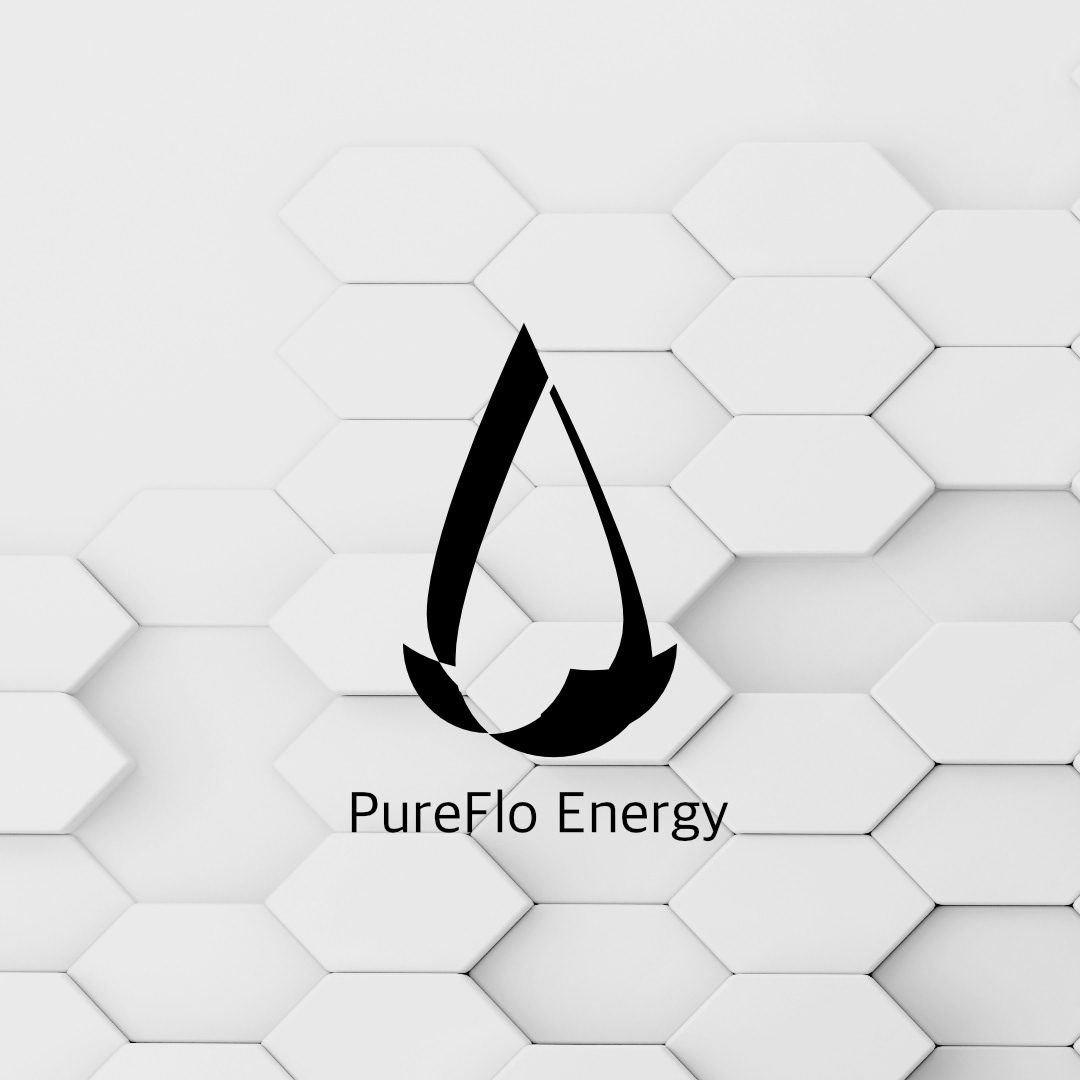 Pureflo Logo Design