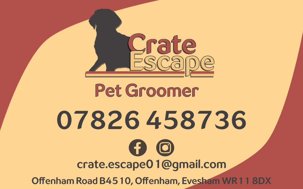 Crate Escape Business Card