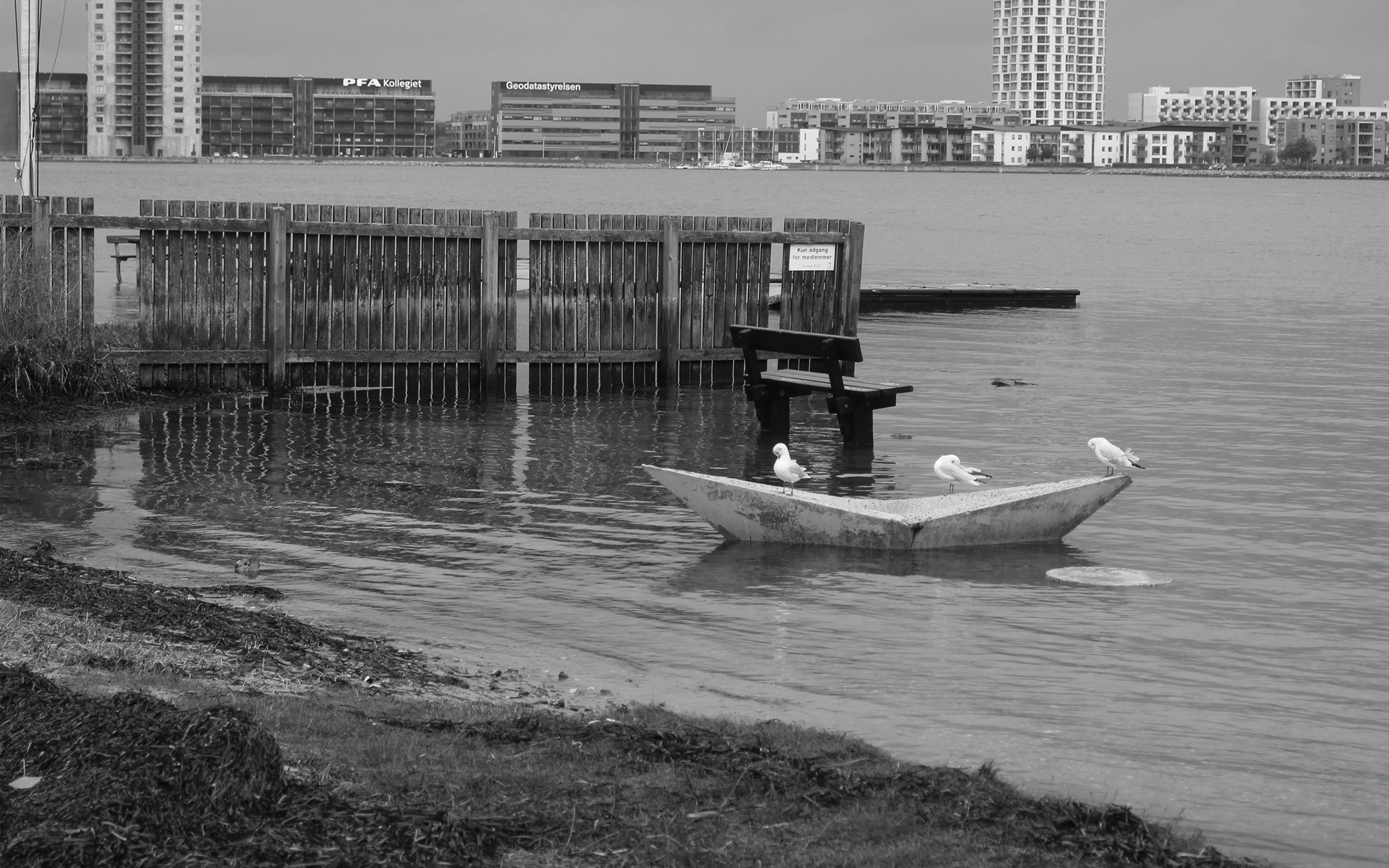 Urban space with permanent flooding, Aalborg Vestby waterfront.
