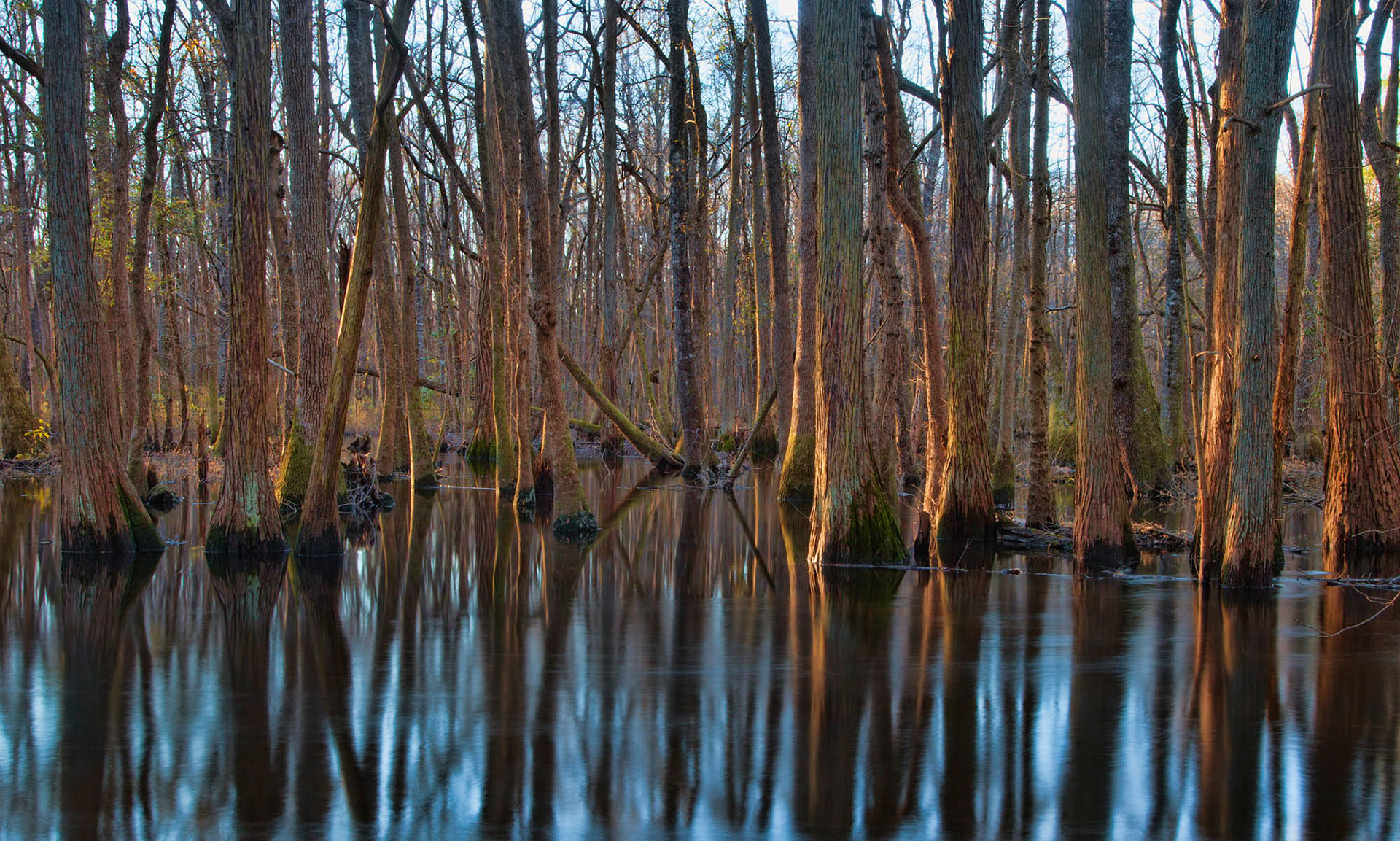 Lumber River in winter by Guy Sagi