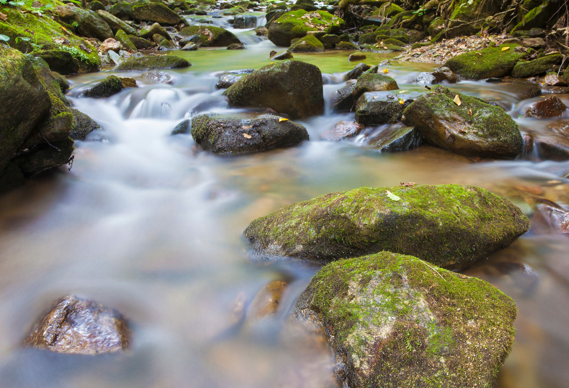 Small stream near Wilson Creek in North Carolina by Guy Sagi