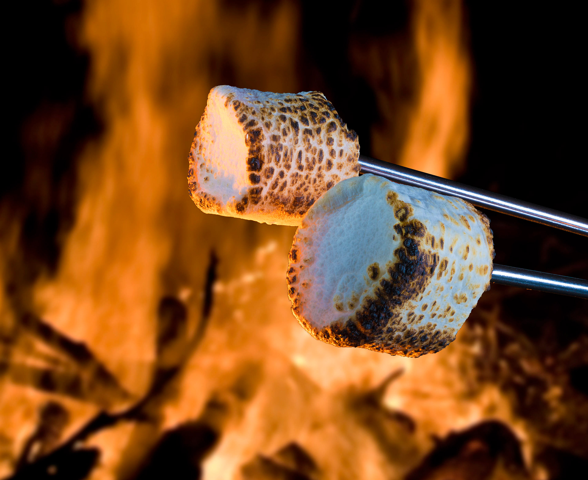 Marshmallows roasting over an open fire for smores by Guy Sagi