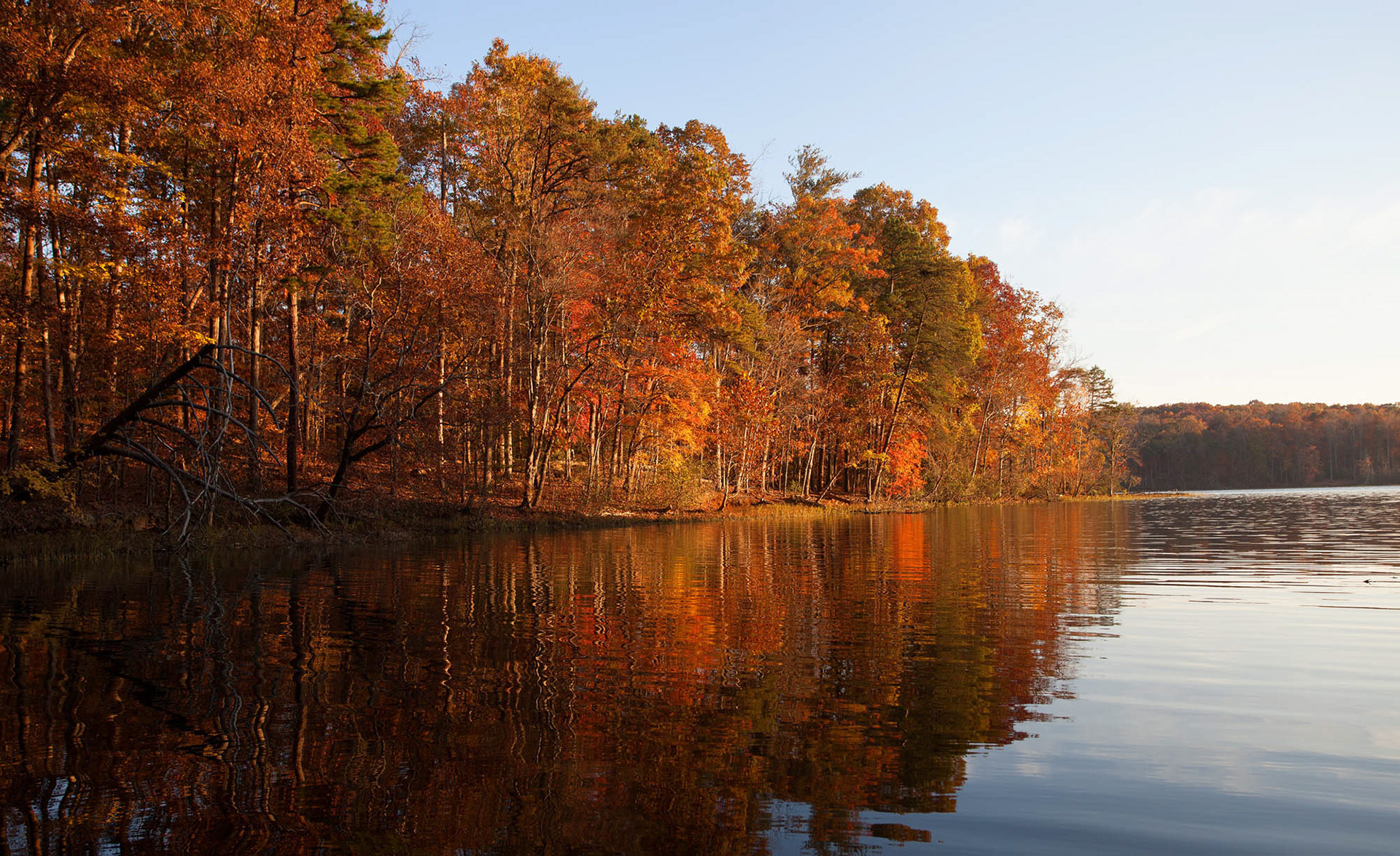 Badin Lake in North Carolina in bright fall color by Guy Sagi