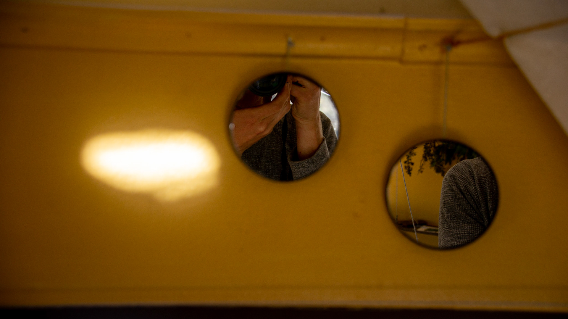 SONY DSC