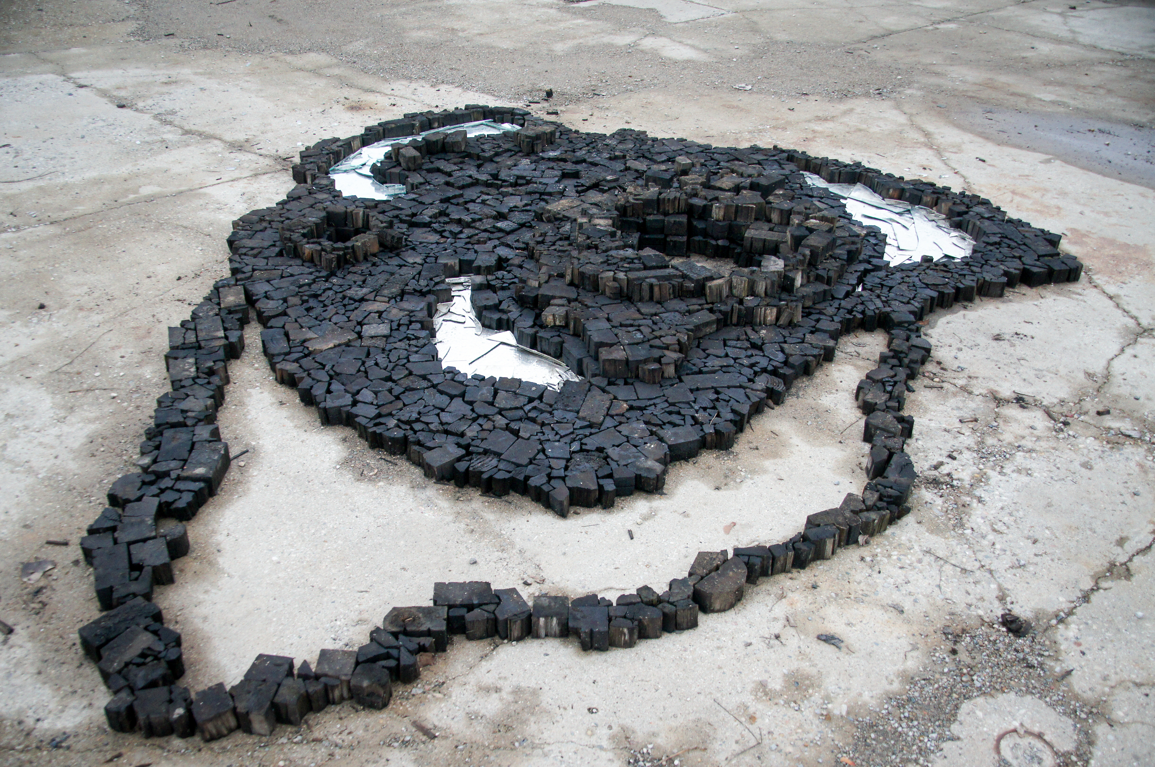 The empty spaces were to be filled with soil and planted with secondary succession plants.