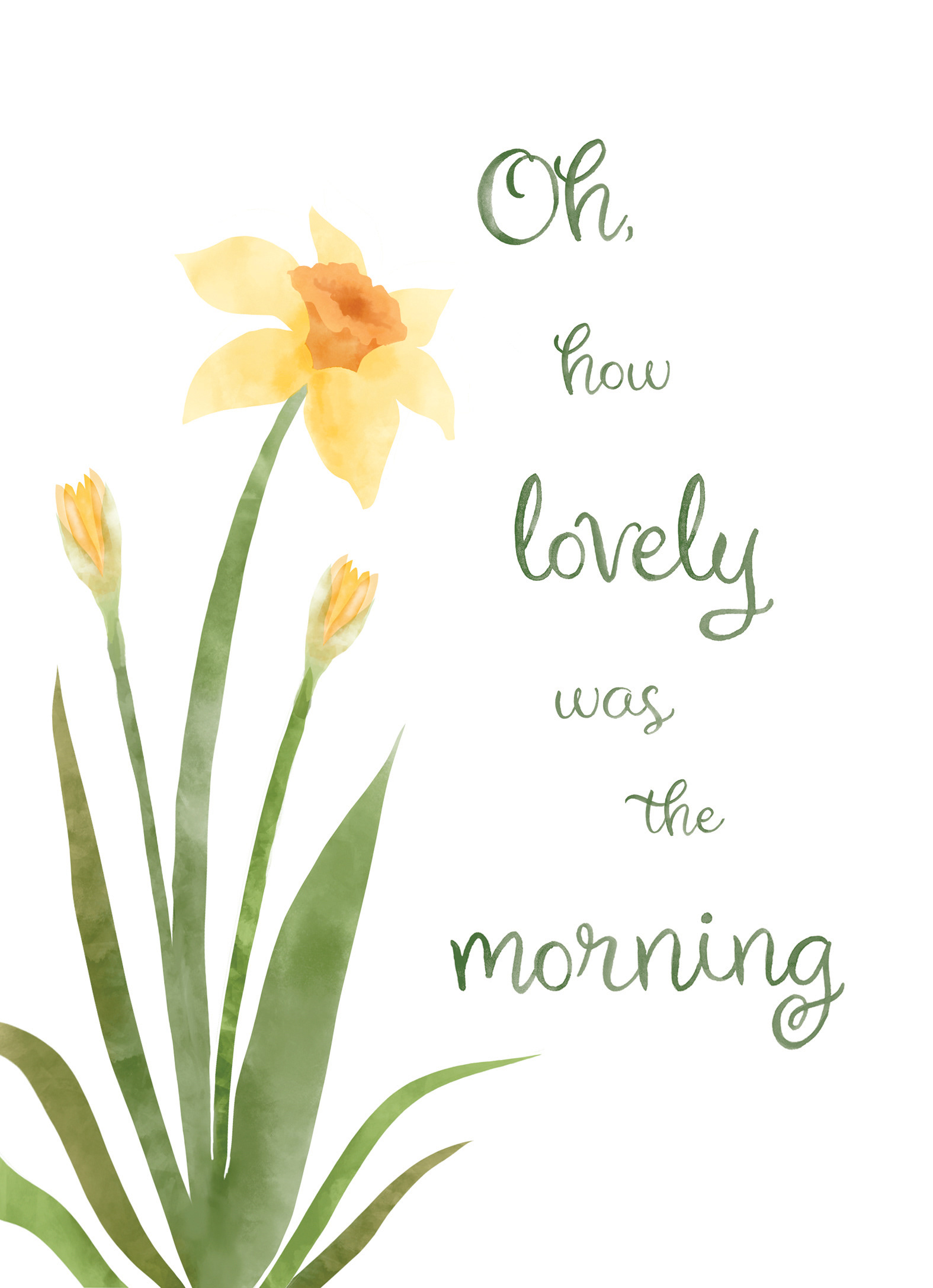 Design and illustration by Julie Olson
