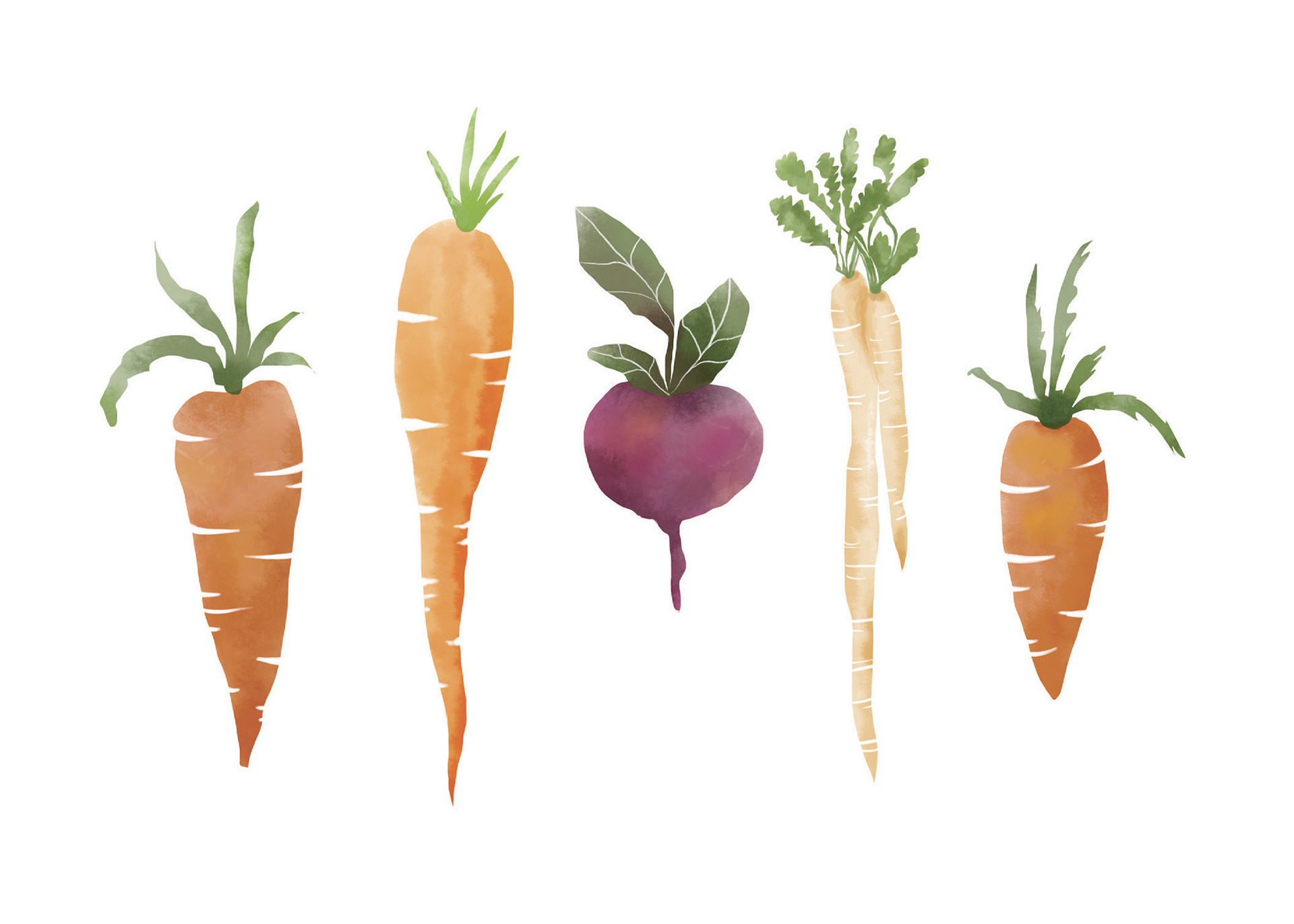 Design and illustration by Julie Olson