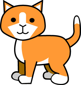 adult cat
