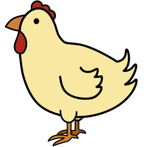 adult chicken