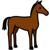 baby horse