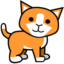 baby cat