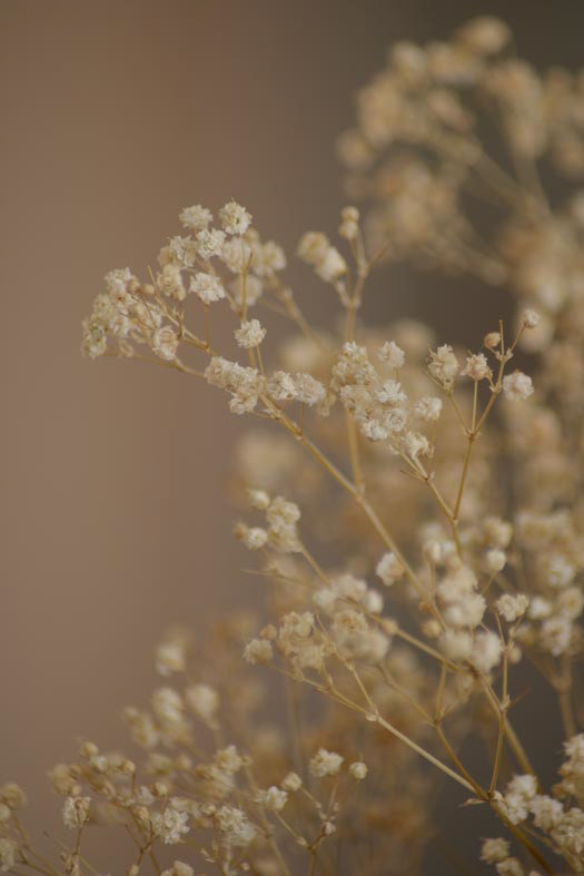 © STEPHANIE LORANG