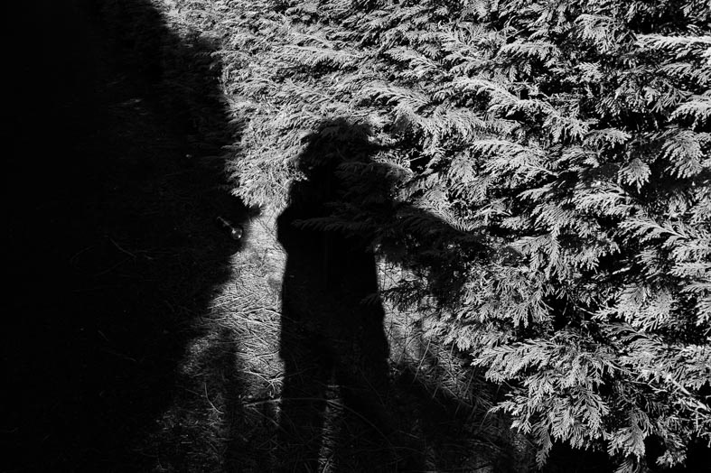 © NOELIE JOYE