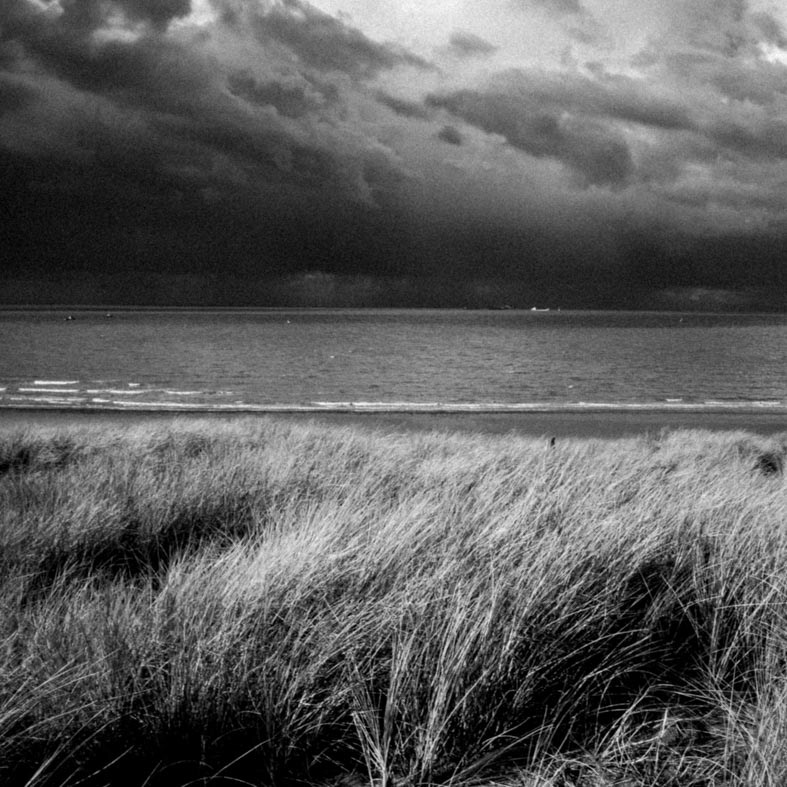 © MANON TIMMERS