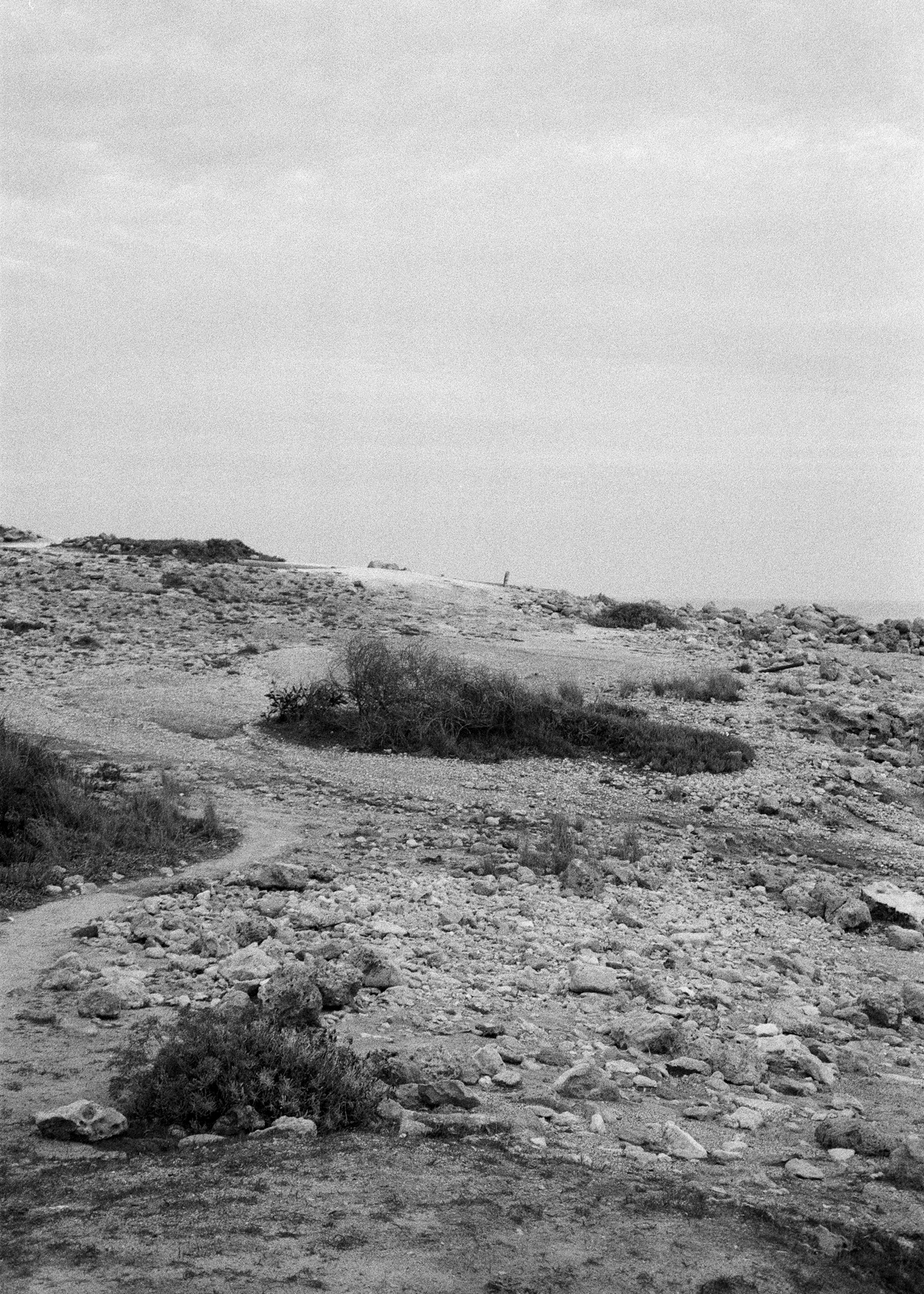 Konica Z-up 70, Kentmere Pan 400