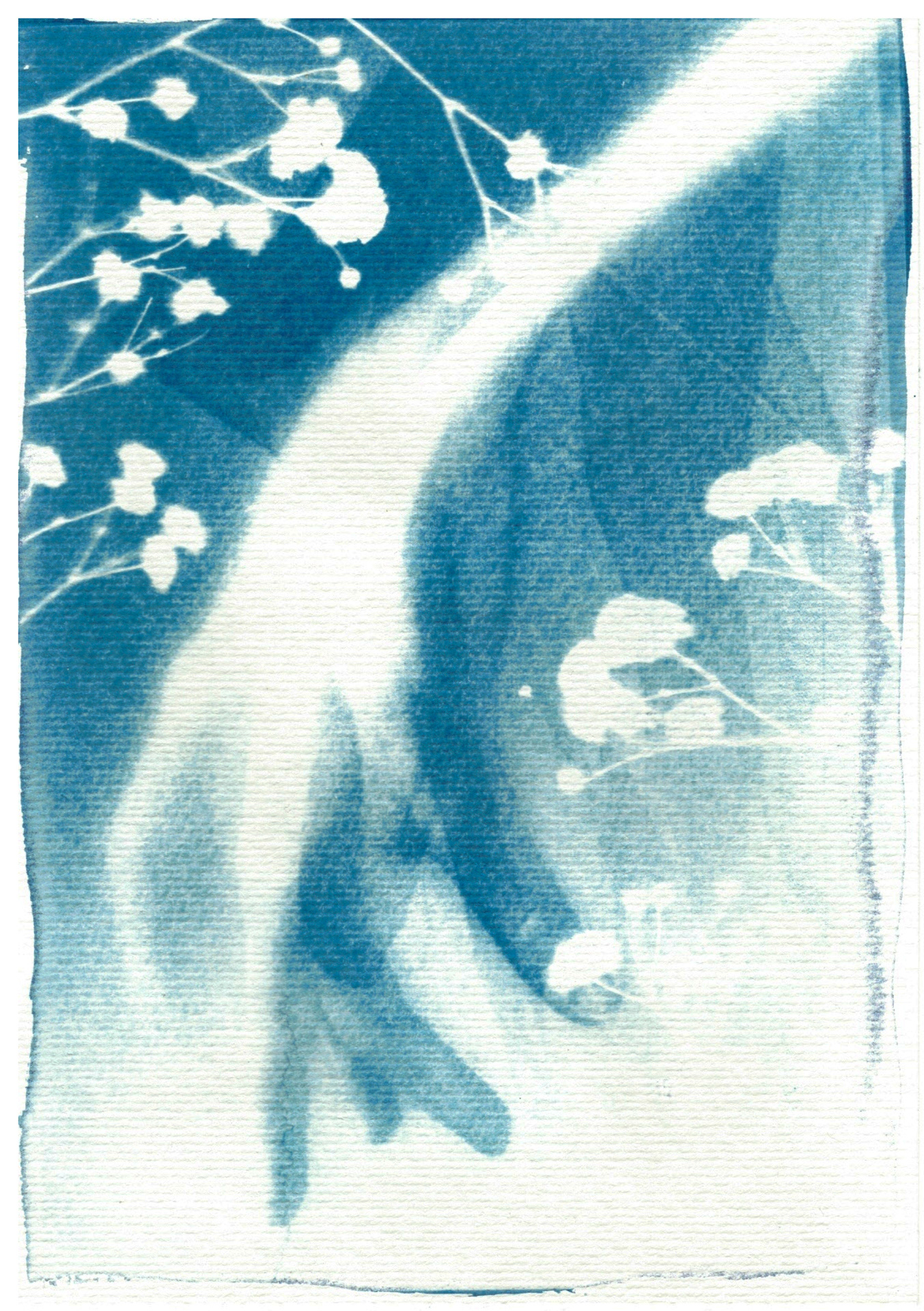 Cyanotype