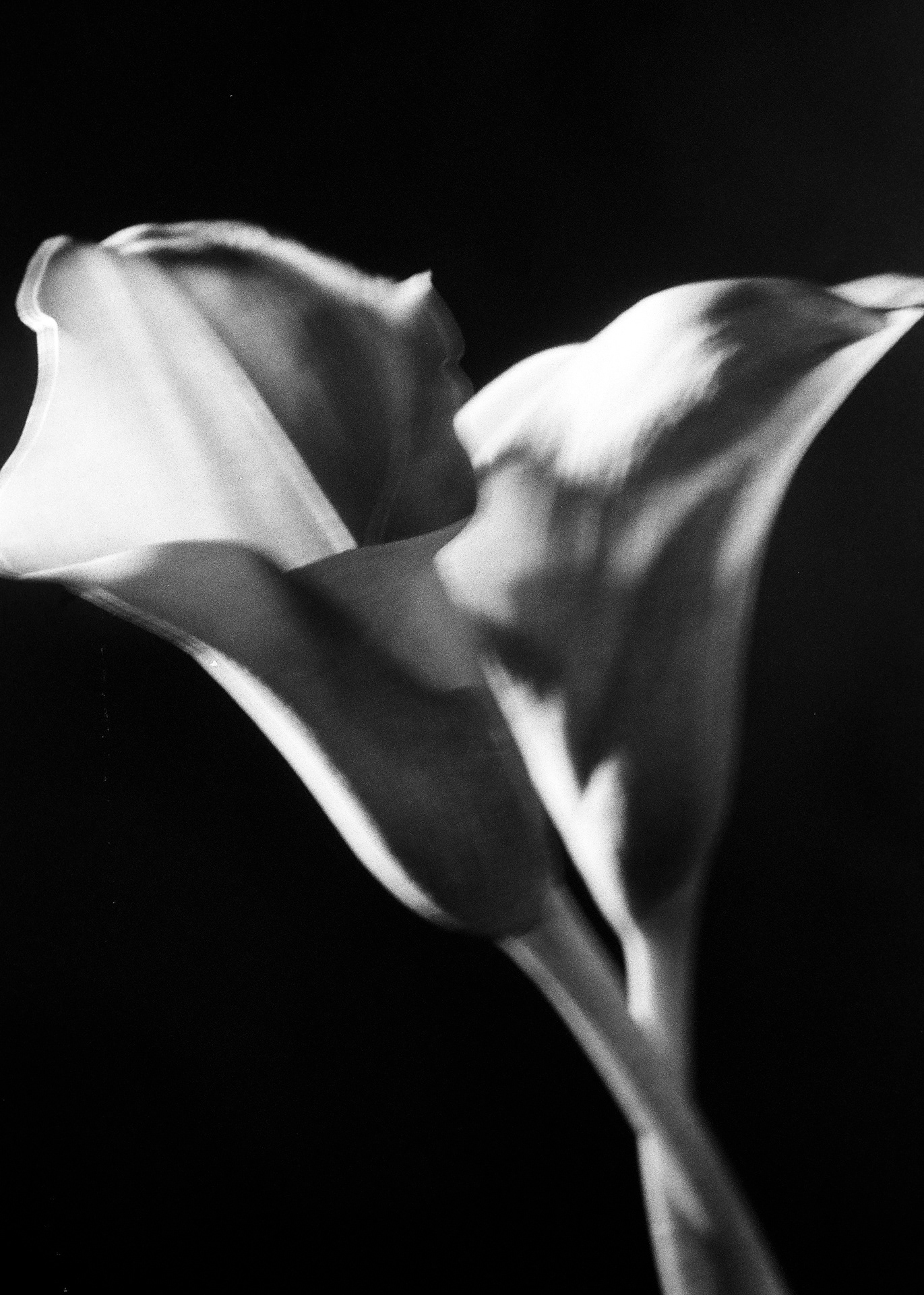 Minolta X-700, Ilford Delta 100 