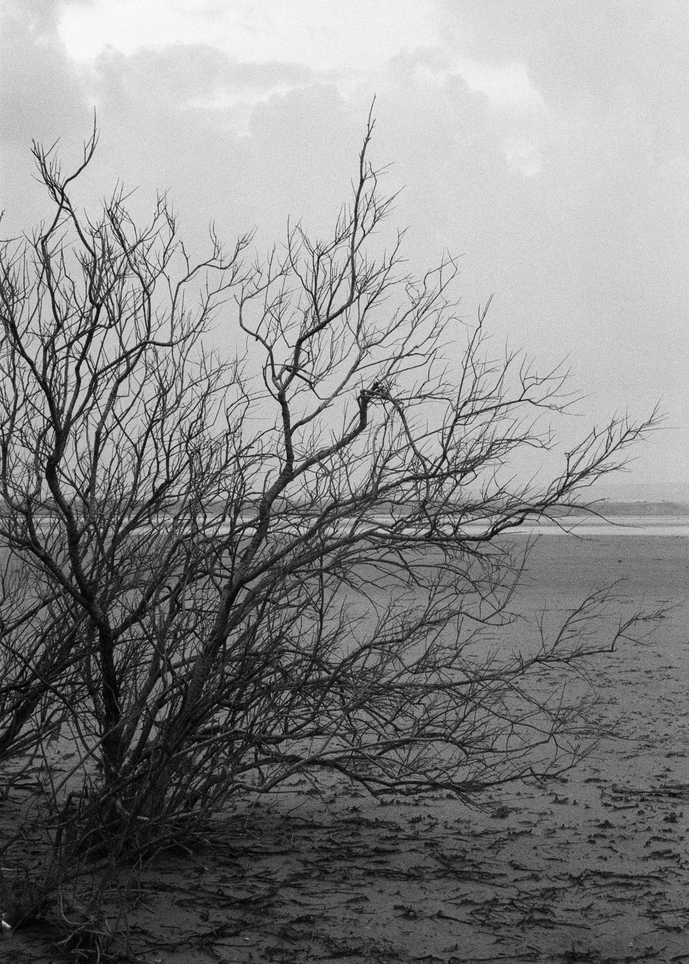 Konica Z-up 70, Kentmere Pan 400