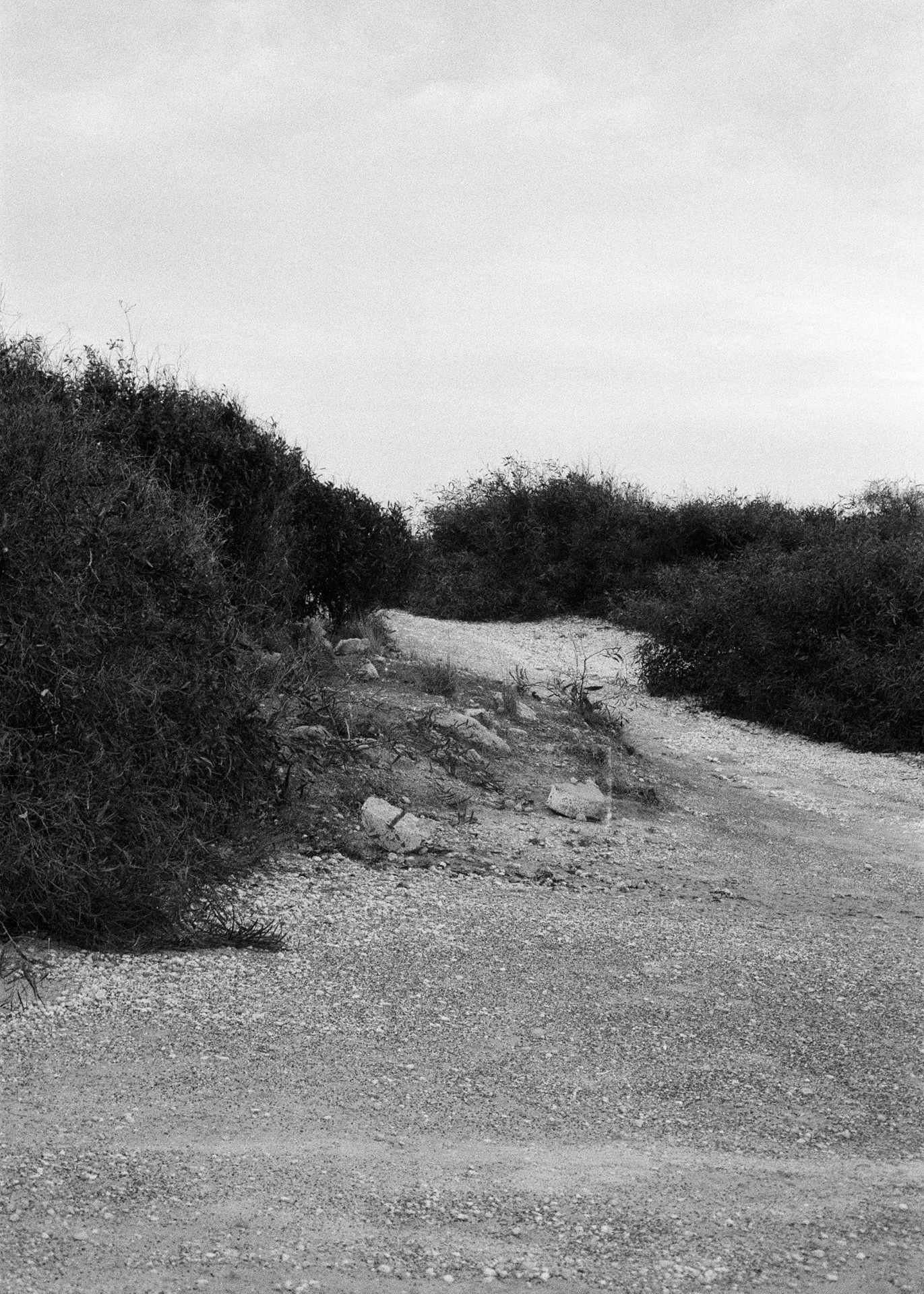 Konica Z-up 70, Kentmere Pan 400