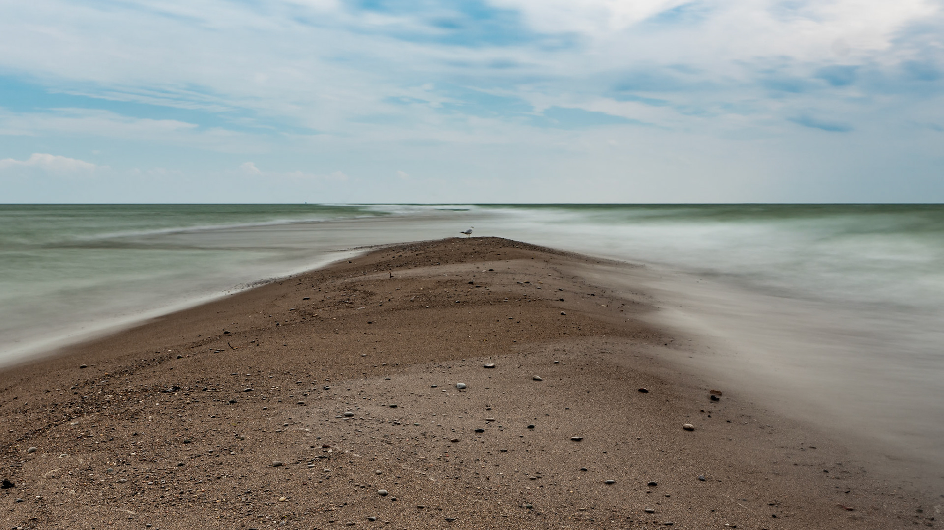 Caught this seagull sitting at the end of Point Peele in Point Peele Natoinal Park, Ontario, Canada.