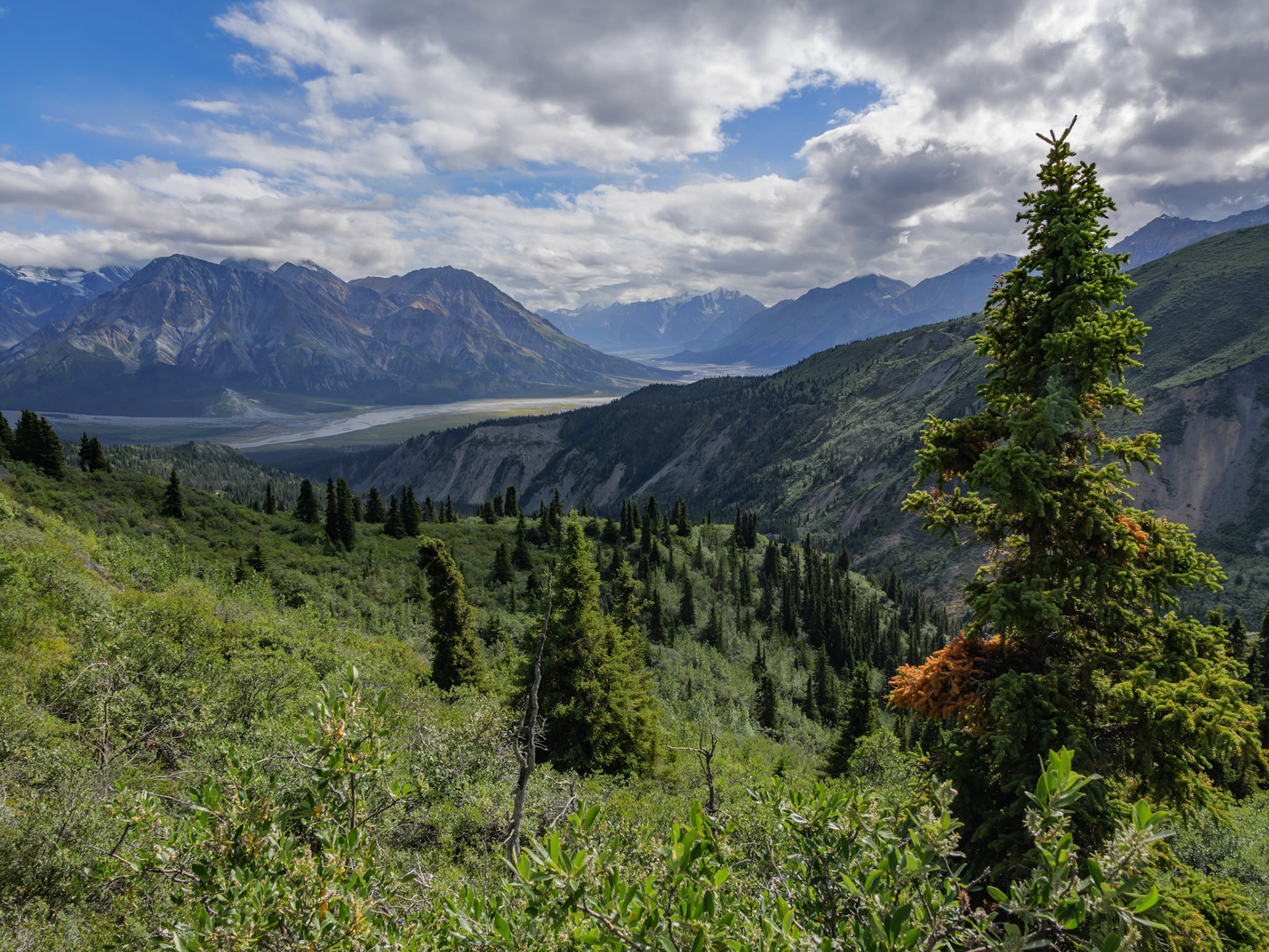 Beautiful view of the Aay Chu Valley from the Sheep Creek Trail in Kluane National Park, Yukon, Canada.
