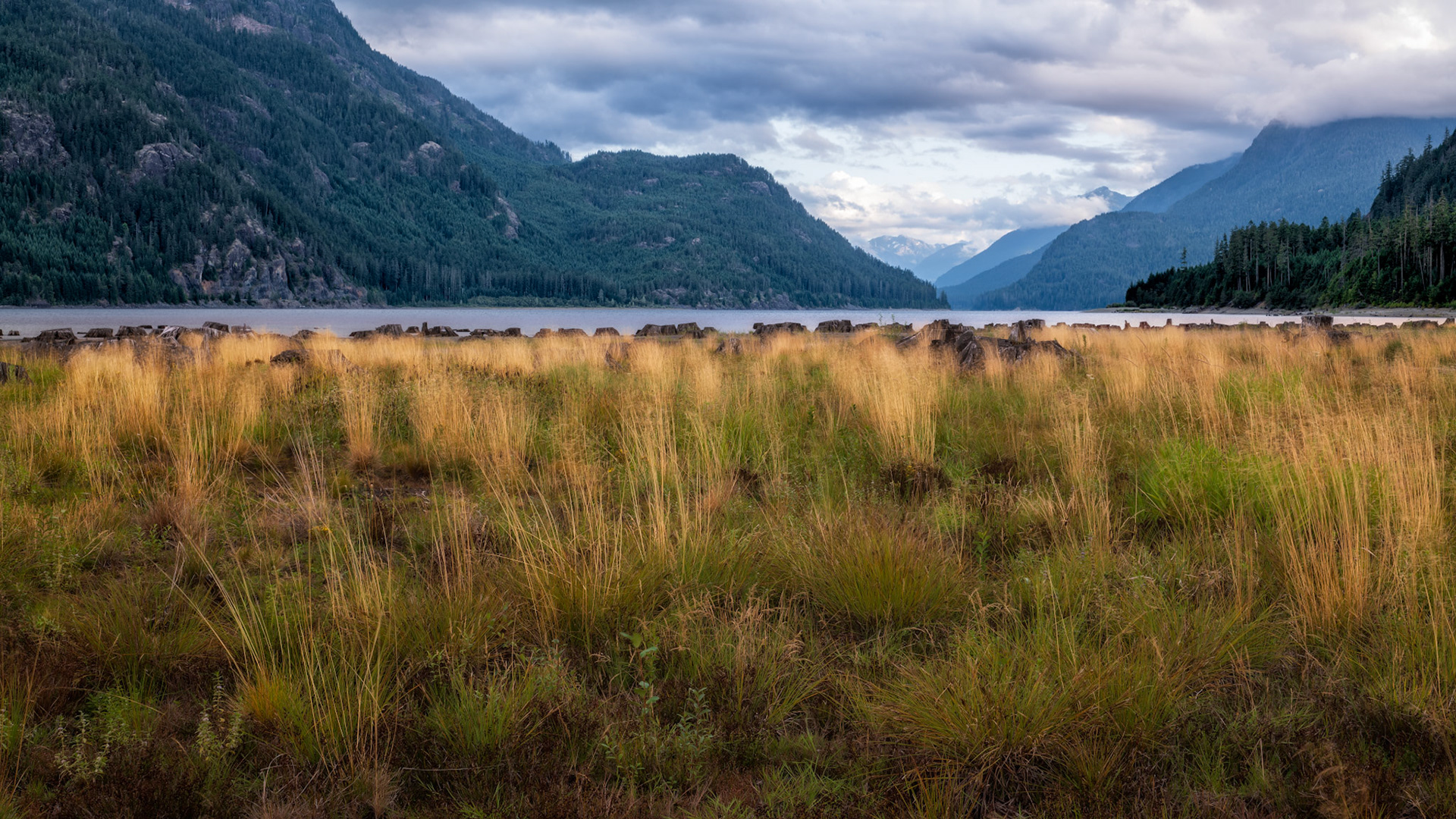 Beautiful clearing beside Buttle lake on Vancouver Island, British Columbia, Canada