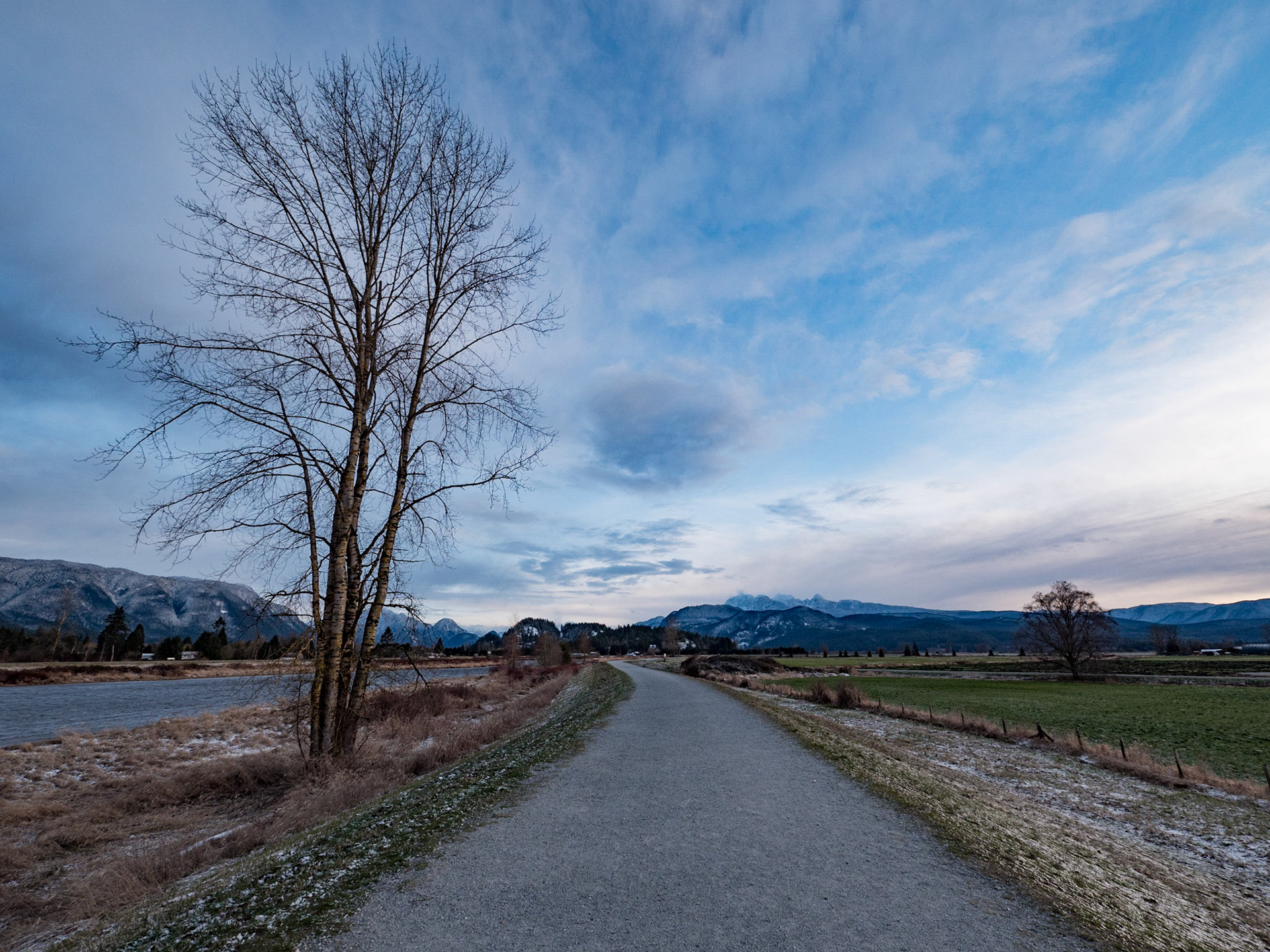 My favorite walking trail in Pitt Meadows.