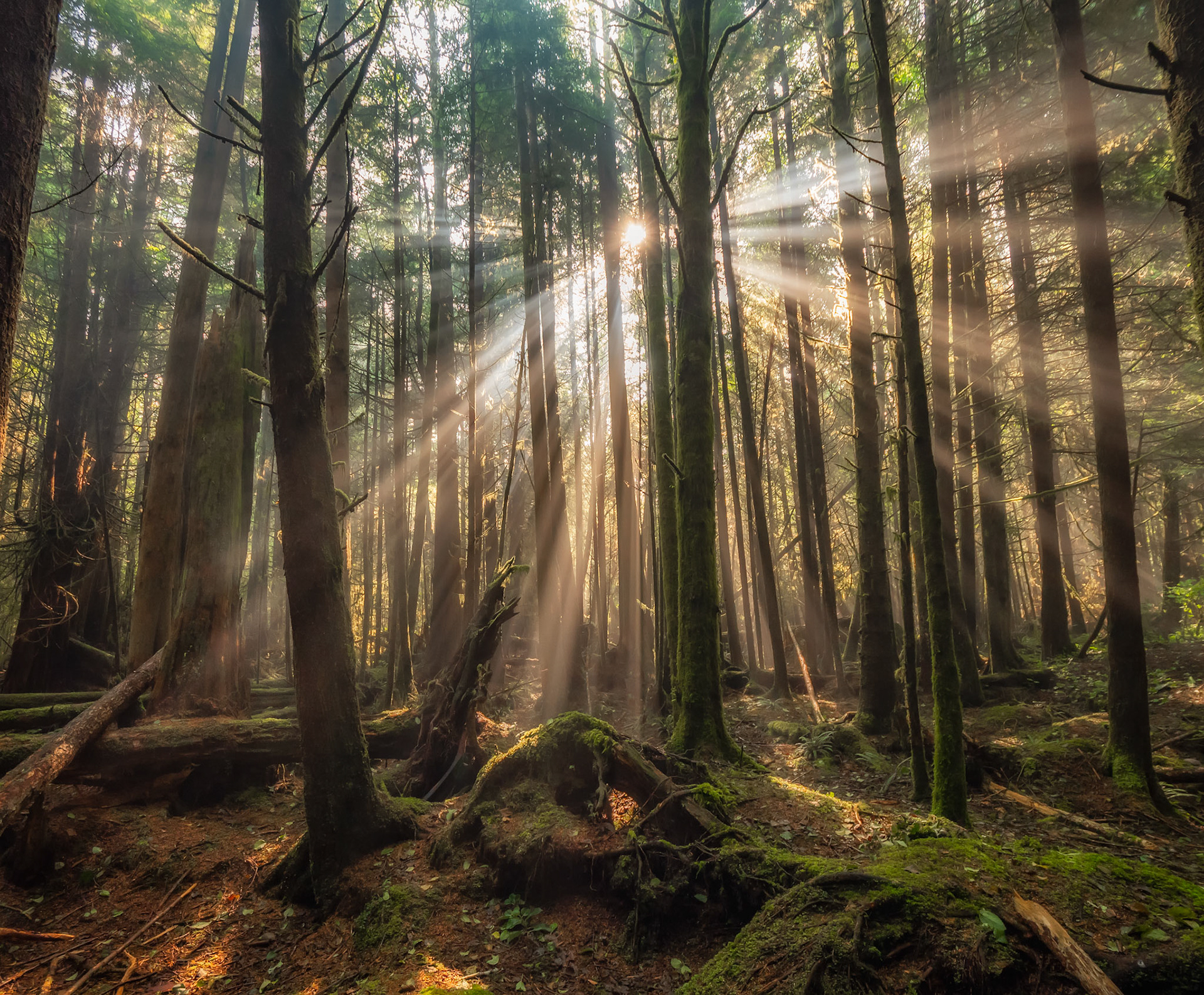 I took this photo from my campsite at Green point campground in Pacific Rim National park.  Amazing to see this view when poking your head out of the tent in the morning.